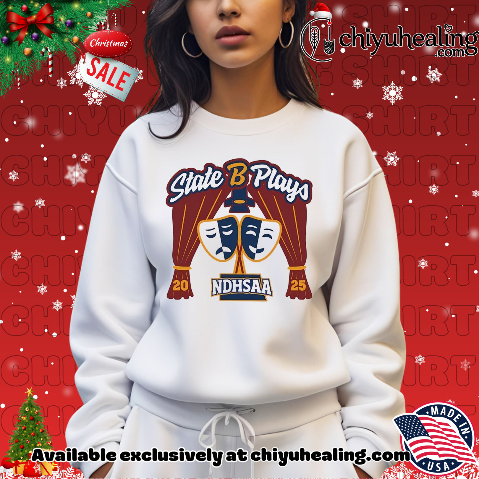 2025 NDHSAA Class B Plays Championship Christmas ornament, Hoodie, Sweatshirt, Poster Canvas, Mug, Ornaments 2025 NDHSAA Class B Plays Championship Christmas ornament, Hoodie, Sweatshirt, Poster Canvas, Mug, Ornaments