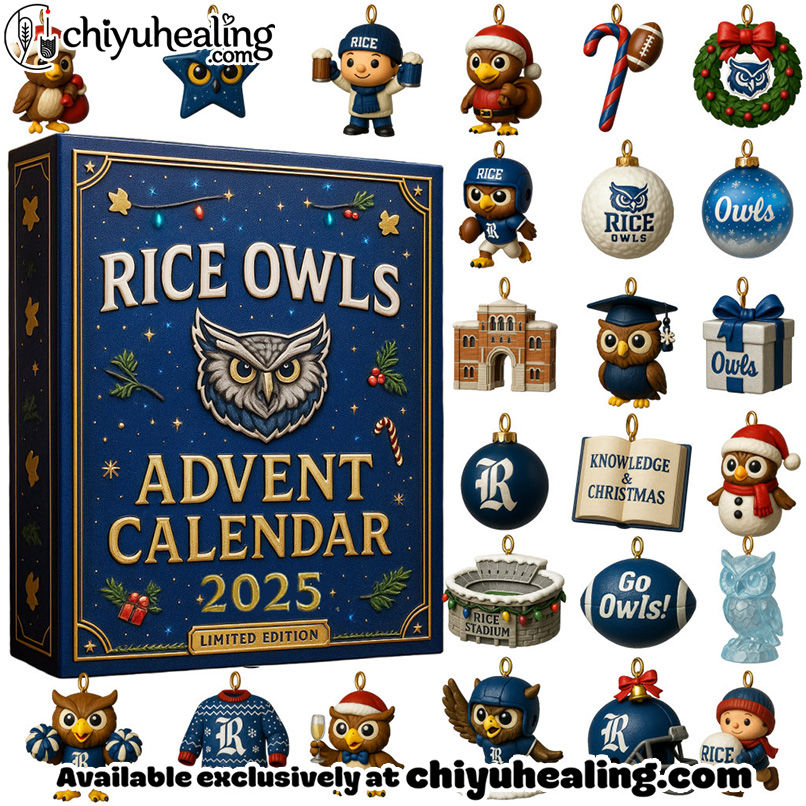 2025 Rice Owls Advent Calendar, Christmas Countdown Advent Calendar Gift Box with 24 Acrylic Ornaments