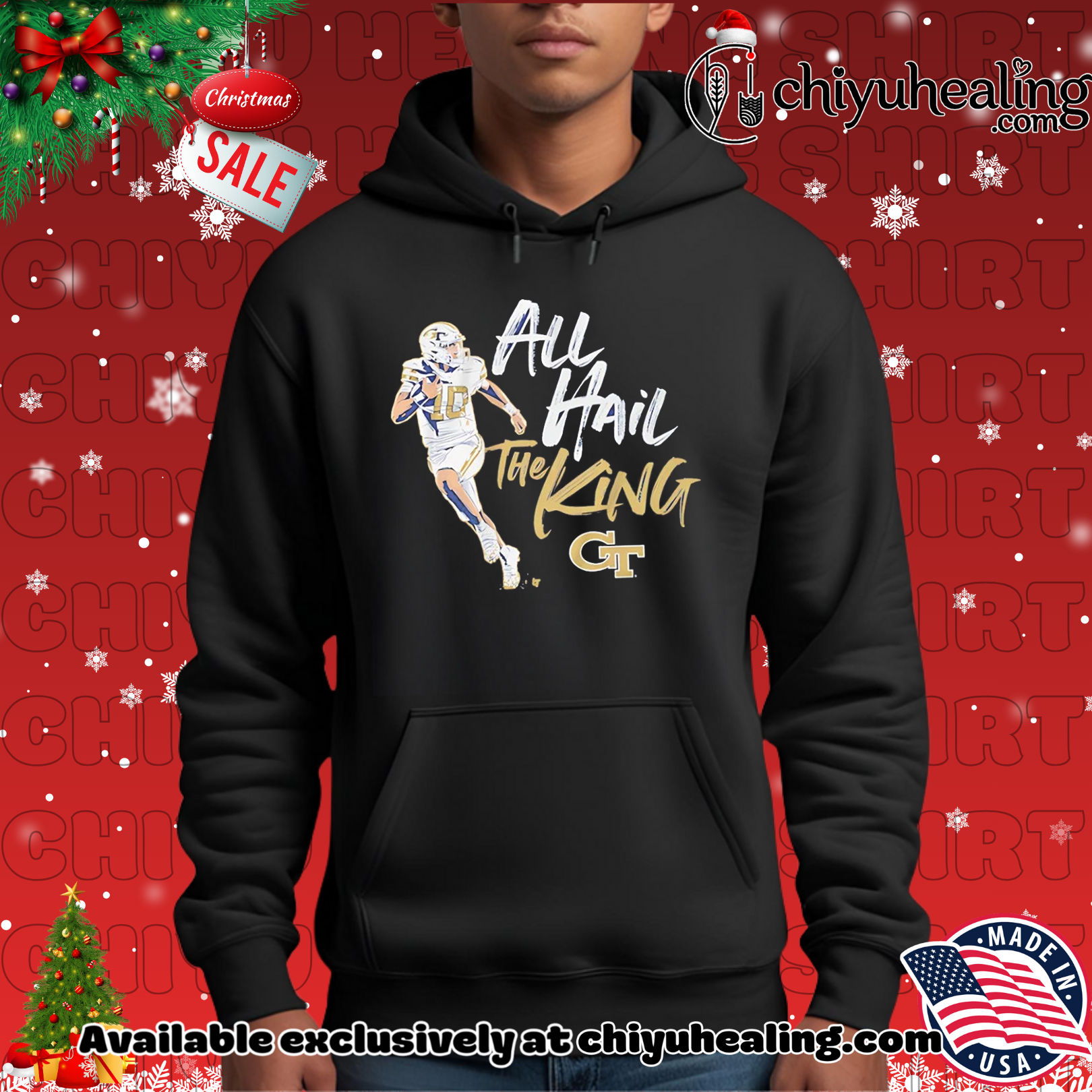 All Hail Haynes King Georgia Tech Yellow Jackets shirt, Hoodie, Sweatshirt, Poster Canvas, Mug, Ornaments