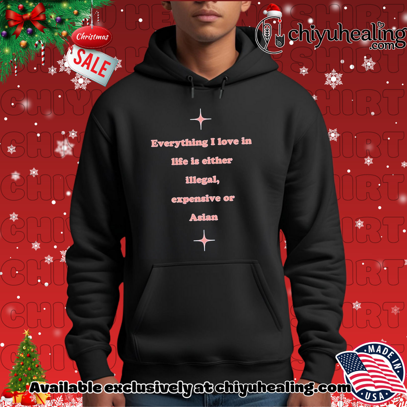 Everything I love in life is either illegal expensive or asian shirt, Hoodie, Sweatshirt, Poster Canvas, Mug, Ornaments