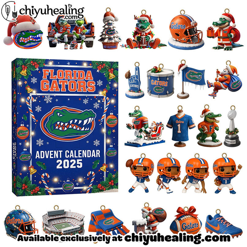 FGT Festive Collectibles Premium Advent Calendar 2025, Christmas Countdown Advent Calendar Gift Box with 24 Acrylic Ornaments