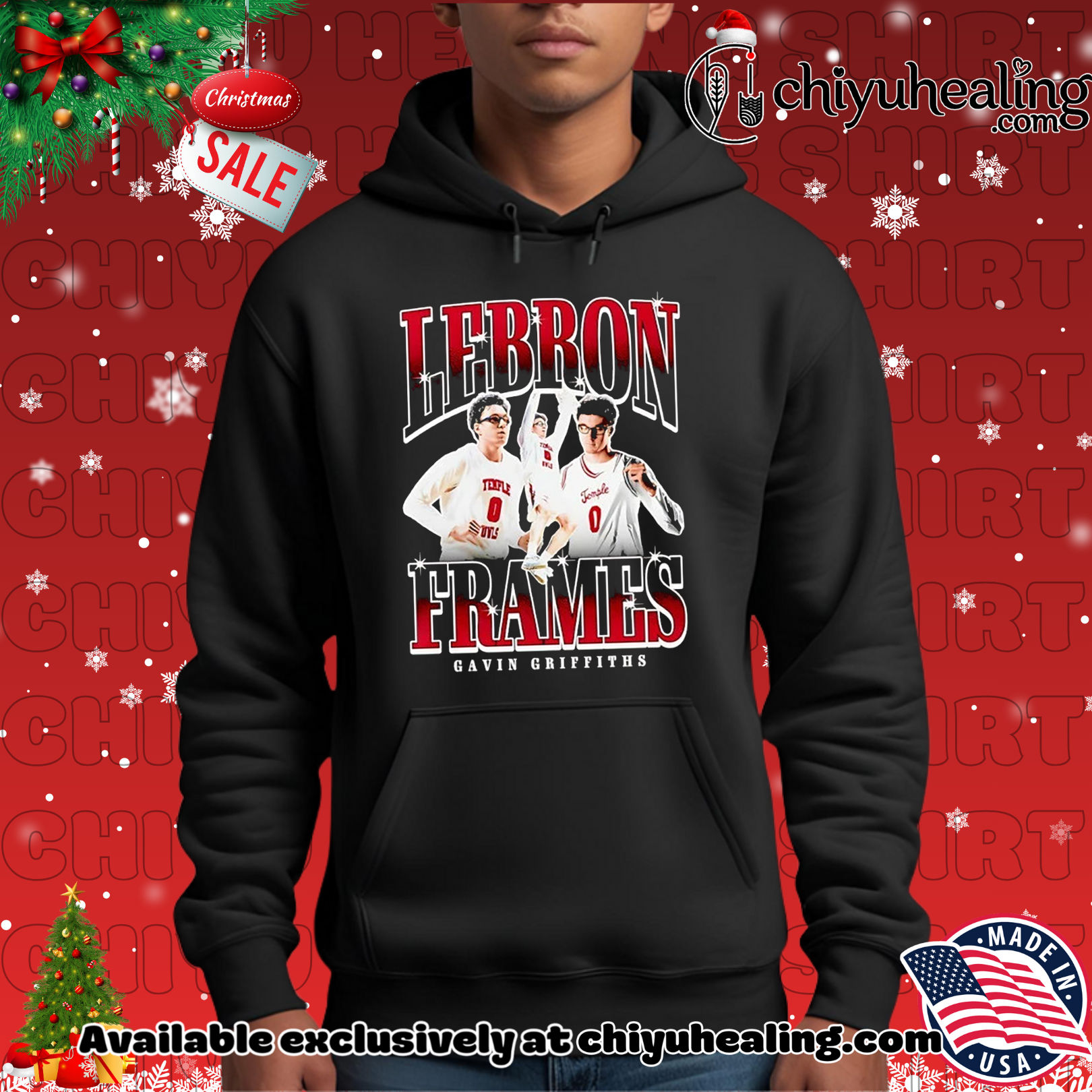 Gavin Griffiths Temple Owls Lebron Frames graphic Christmas ornament, Hoodie, Sweatshirt, Poster Canvas, Mug, Ornaments