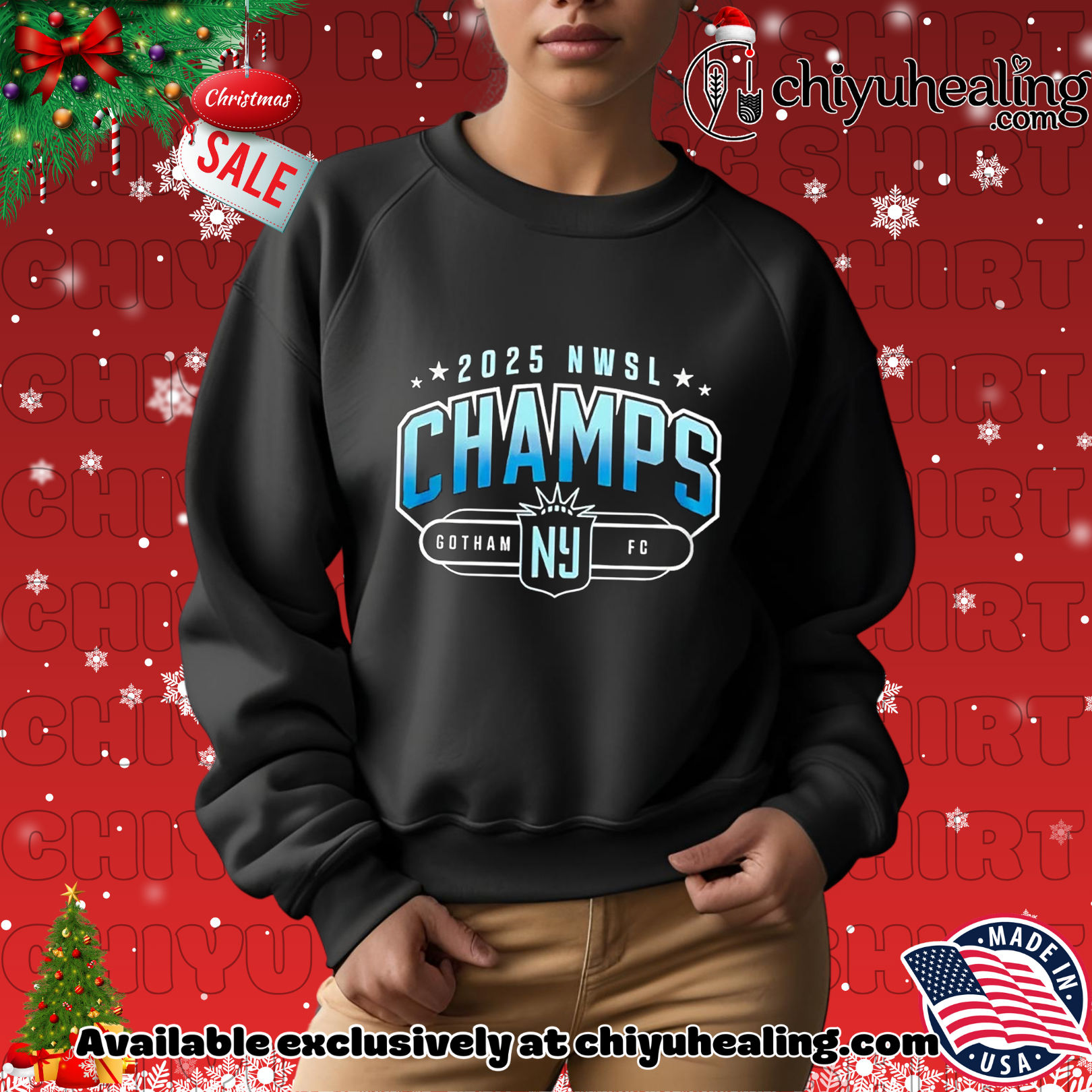 Gotham FC 2025 NWSL Champions classic Christmas ornament, Hoodie, Sweatshirt, Poster Canvas, Mug, Ornaments 2 Gotham FC 2025 NWSL Champions classic Christmas ornament, Hoodie, Sweatshirt, Poster Canvas, Mug, Ornaments