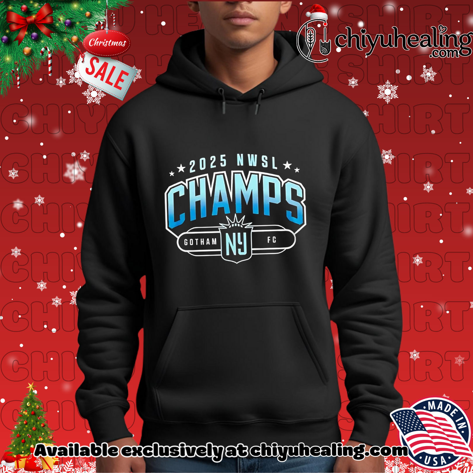 Gotham FC 2025 NWSL Champions classic Christmas ornament, Hoodie, Sweatshirt, Poster Canvas, Mug, Ornaments