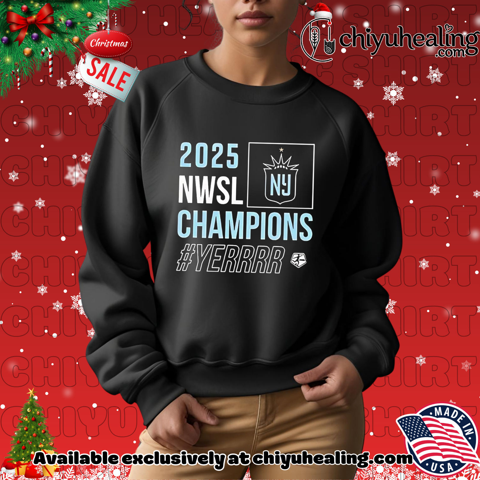 Gotham FC 2025 NWSL Champions yerrr logo Christmas ornament, Hoodie, Sweatshirt, Poster Canvas, Mug, Ornaments 2 Gotham FC 2025 NWSL Champions yerrr logo Christmas ornament, Hoodie, Sweatshirt, Poster Canvas, Mug, Ornaments