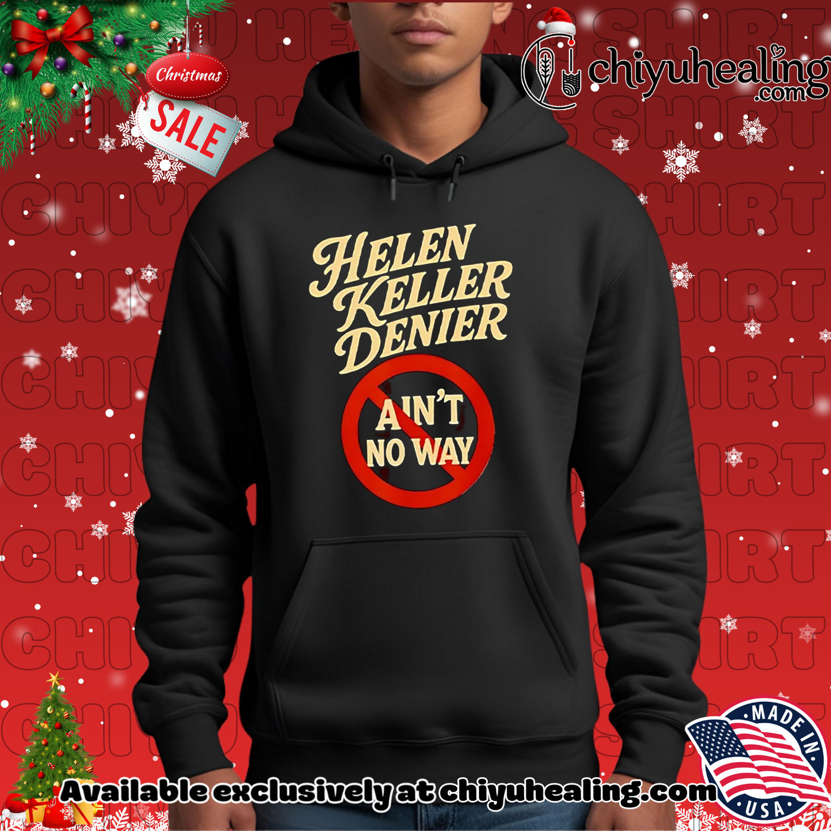 Helen Keller Denier Ain't No Way Christmas ornament, Hoodie, Sweatshirt, Poster Canvas, Mug, Ornaments