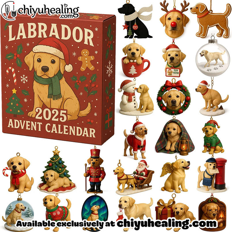 Labrador 2025 Advent Calendar, Christmas Countdown Advent Calendar Gift Box with 24 Acrylic Ornaments