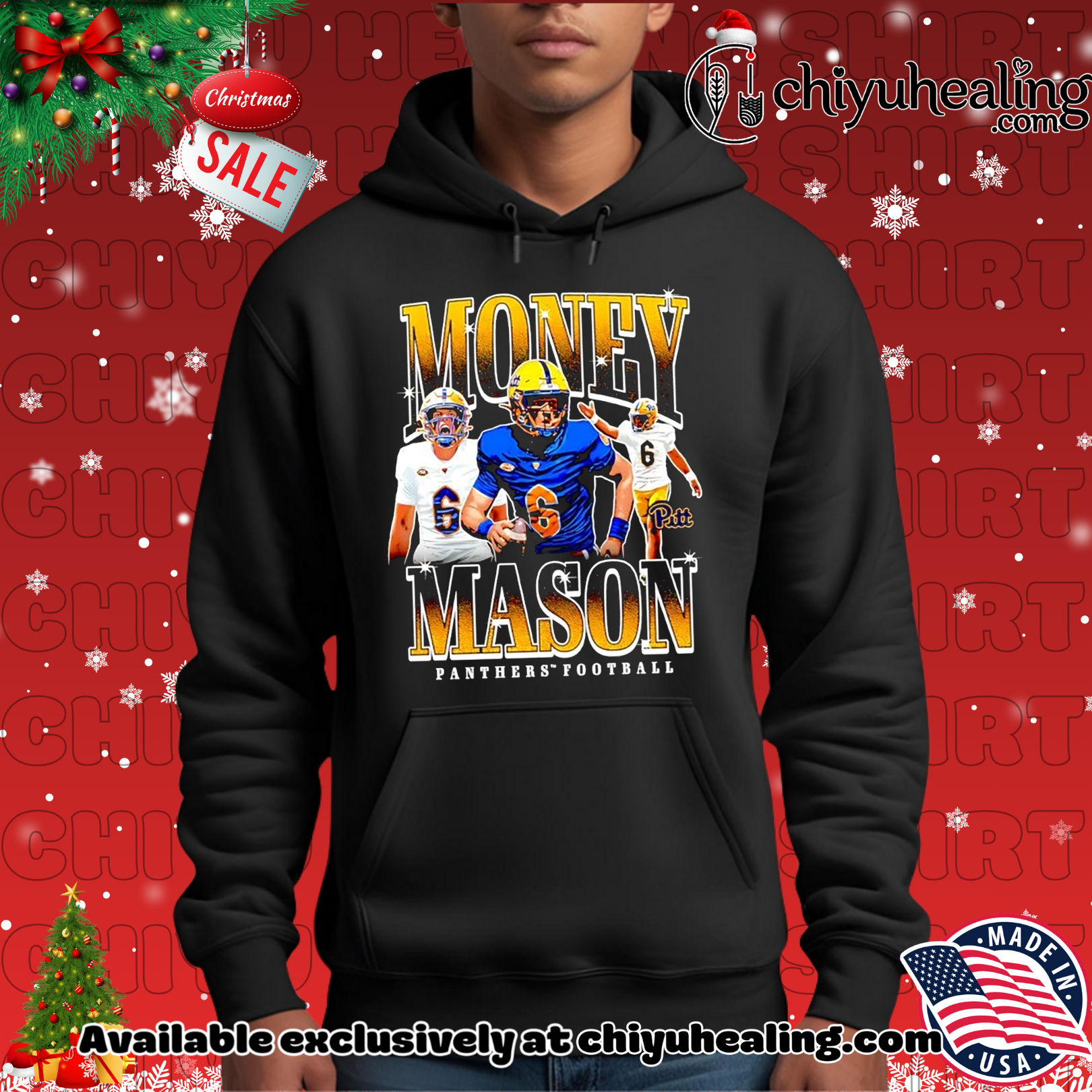 Mason Heintschel Pittsburgh Panthers Illustrated Christmas ornament, Hoodie, Sweatshirt, Poster Canvas, Mug, Ornaments