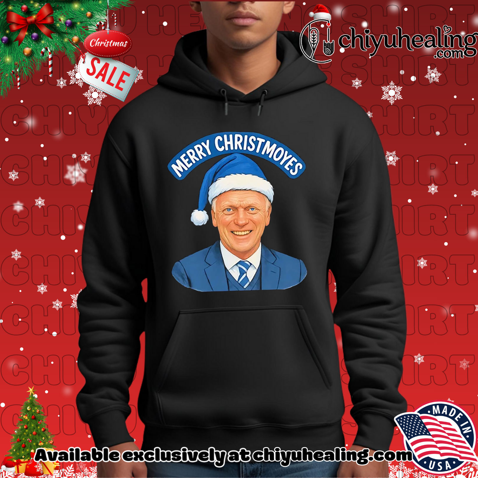 Merry Christmoyes Everton Merry Christmas Christmas ornament, Hoodie, Sweatshirt, Poster Canvas, Mug, Ornaments