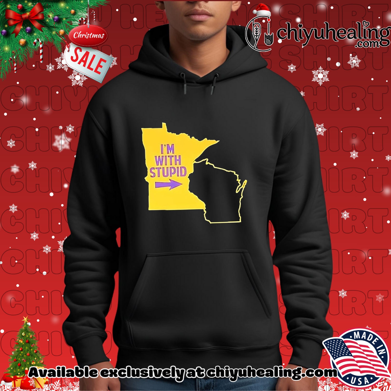 Minnesota Vikings I'm with stupid map Christmas ornament, Hoodie, Sweatshirt, Poster Canvas, Mug, Ornaments