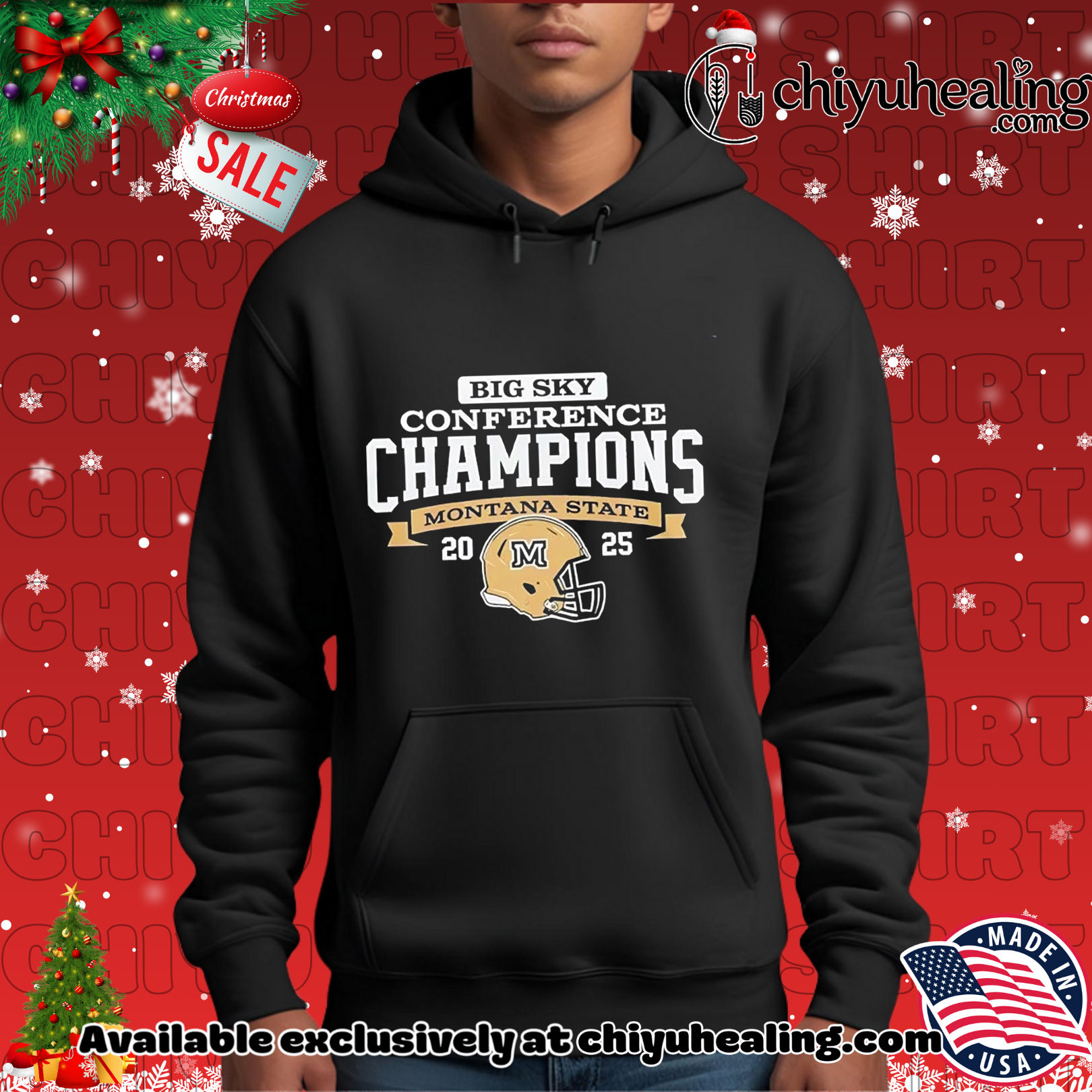 Montana State Football 2025 Big Sky Conference Champions classic Christmas ornament, Hoodie, Sweatshirt, Poster Canvas, Mug, Ornaments