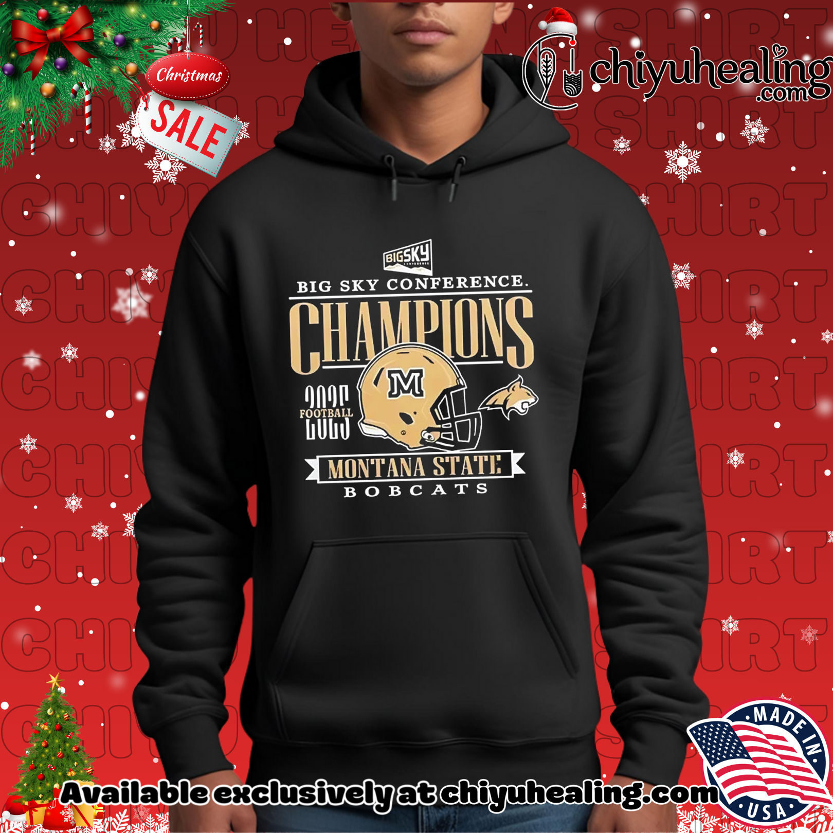 Montana State Football 2025 Big Sky Conference Champions helmet Christmas ornament, Hoodie, Sweatshirt, Poster Canvas, Mug, Ornaments