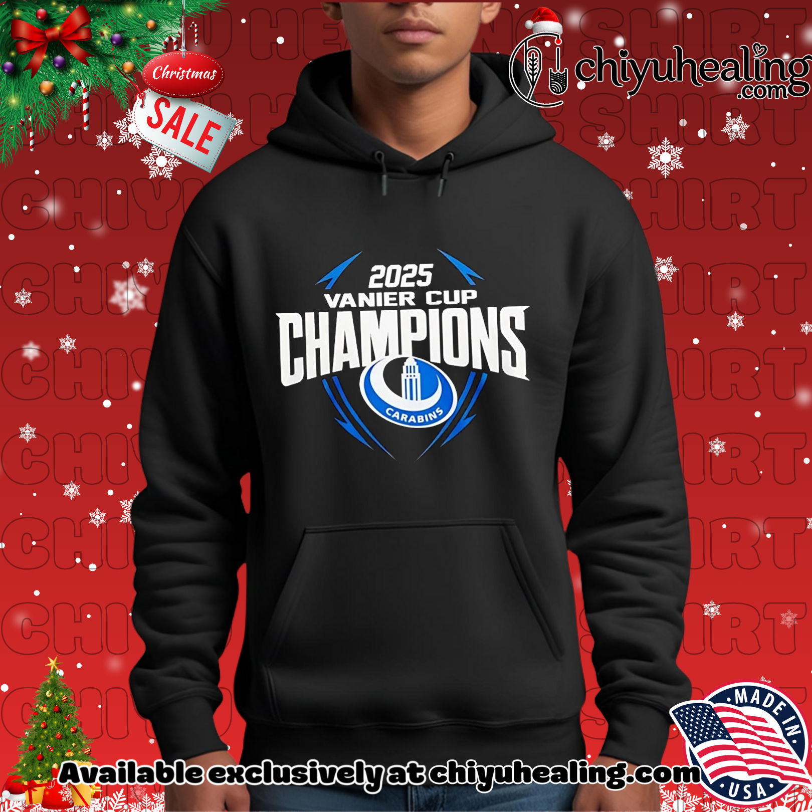 Montreal Carabins 2025 Vanier Cup Champions Christmas ornament, Hoodie, Sweatshirt, Poster Canvas, Mug, Ornaments