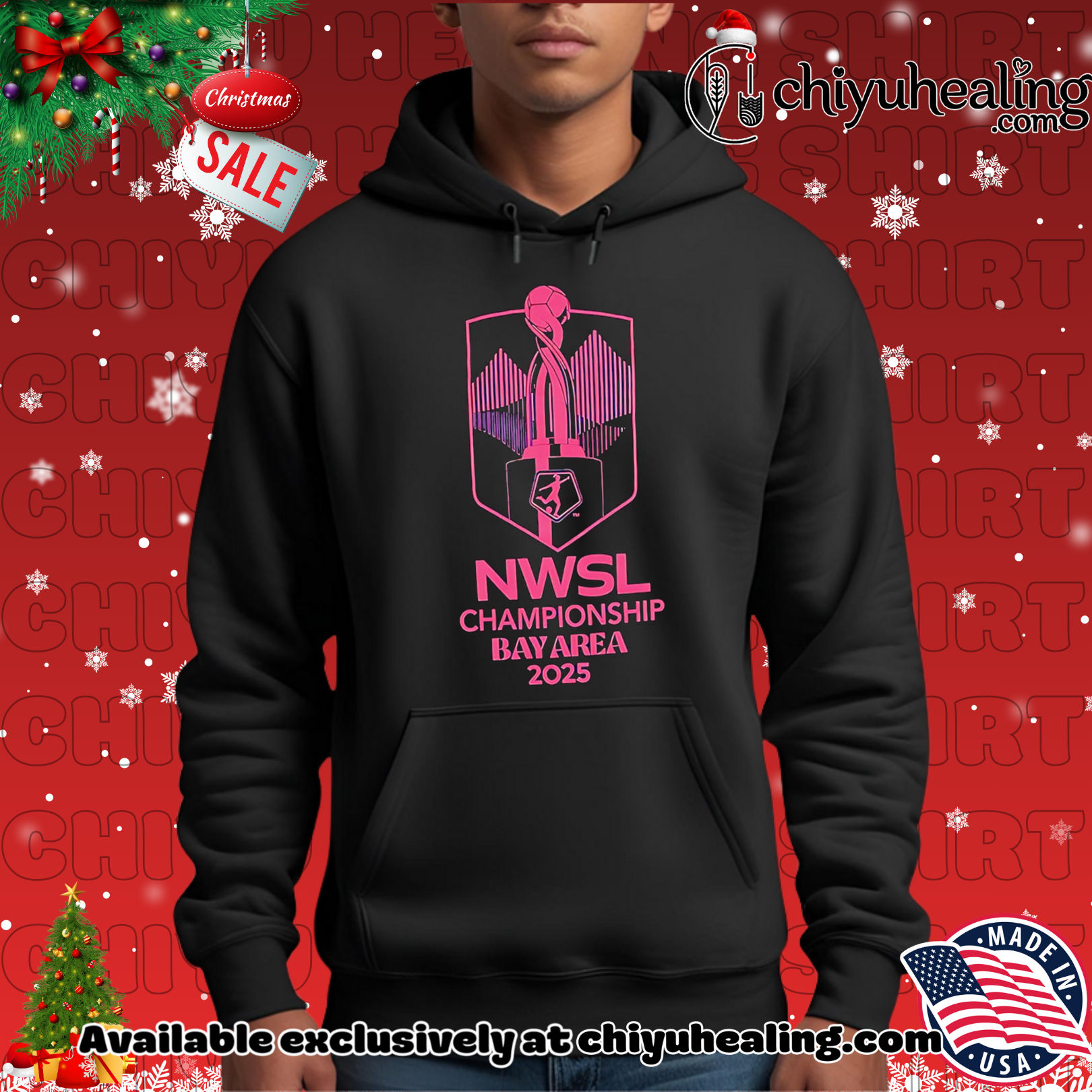 NWSL 2025 Championship design banner shirt, Hoodie, Sweatshirt, Poster Canvas, Mug, Ornaments 2 NWSL 2025 Championship design banner shirt, Hoodie, Sweatshirt, Poster Canvas, Mug, Ornaments