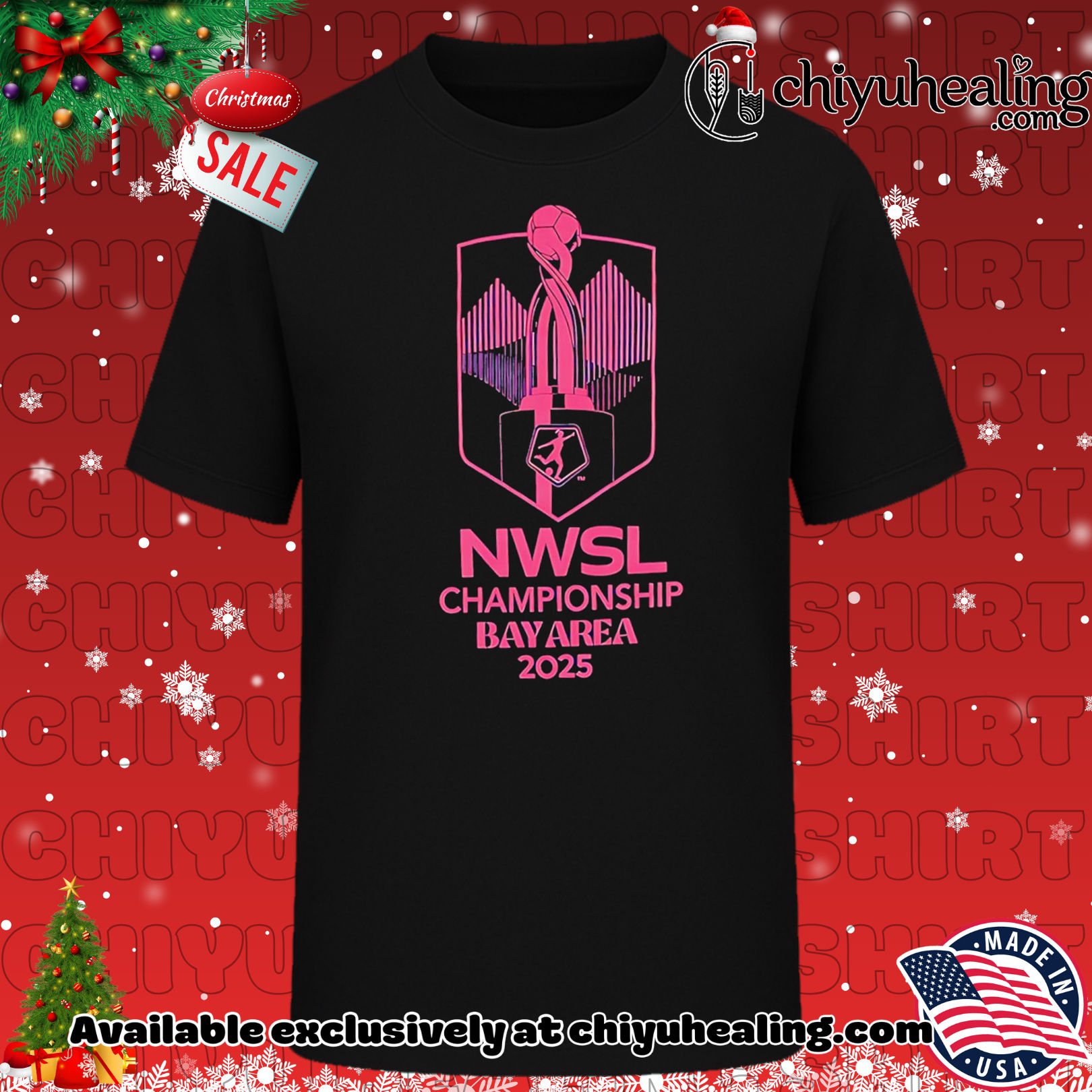 NWSL 2025 Championship design banner shirt, Hoodie, Sweatshirt, Poster Canvas, Mug, Ornaments