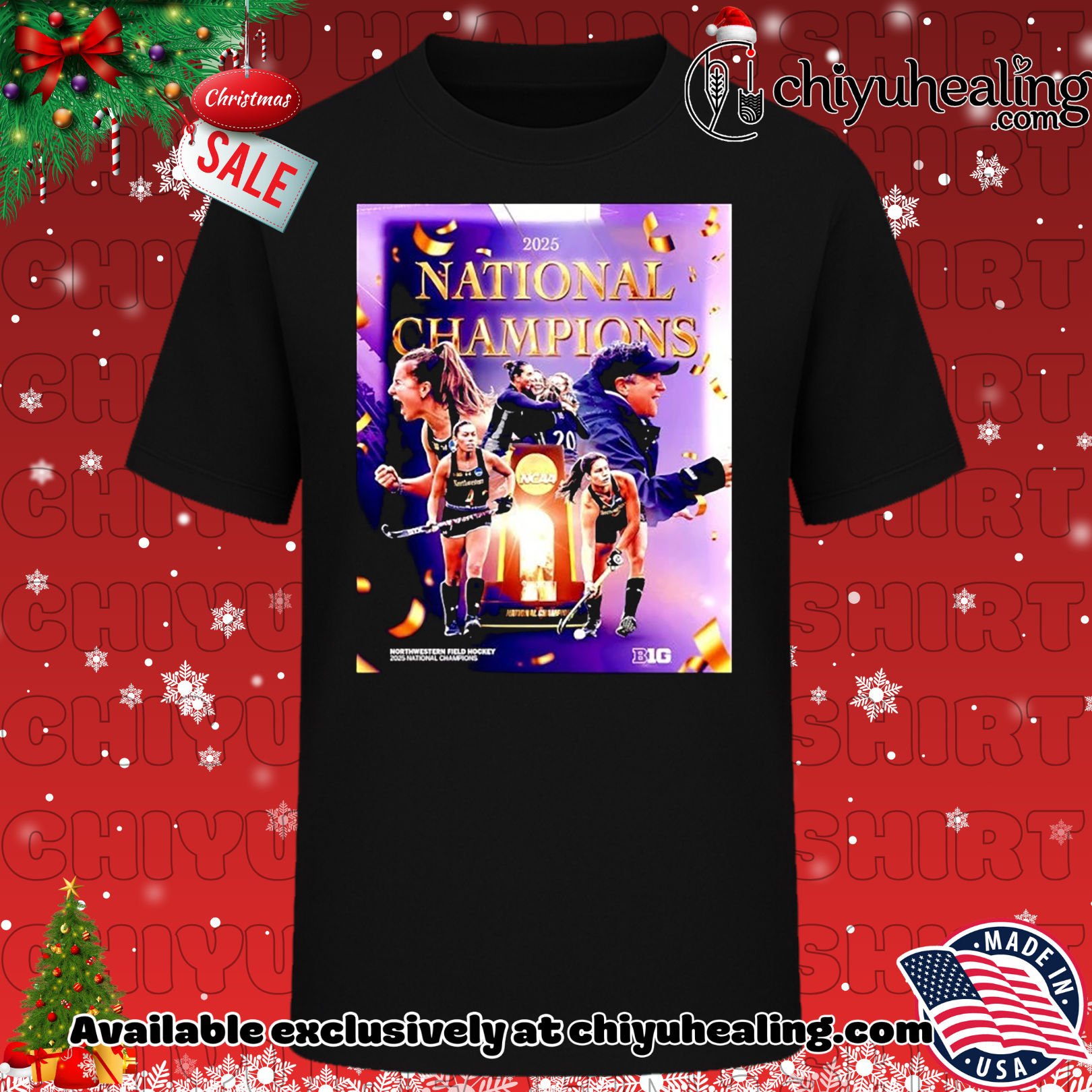 Northwestern Field hockey 2025 National Champions poster Christmas ornament, Hoodie, Sweatshirt, Poster Canvas, Mug, Ornaments 6 Northwestern Field hockey 2025 National Champions poster Christmas ornament, Hoodie, Sweatshirt, Poster Canvas, Mug, Ornaments