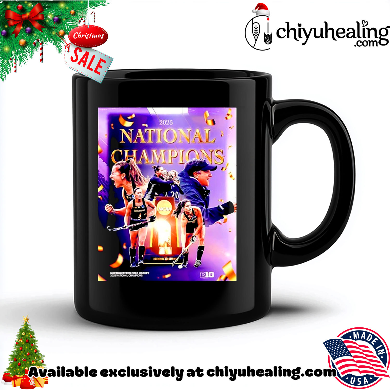 Northwestern Field hockey 2025 National Champions poster Christmas ornament, Hoodie, Sweatshirt, Poster Canvas, Mug, Ornaments 5 Northwestern Field hockey 2025 National Champions poster Christmas ornament, Hoodie, Sweatshirt, Poster Canvas, Mug, Ornaments
