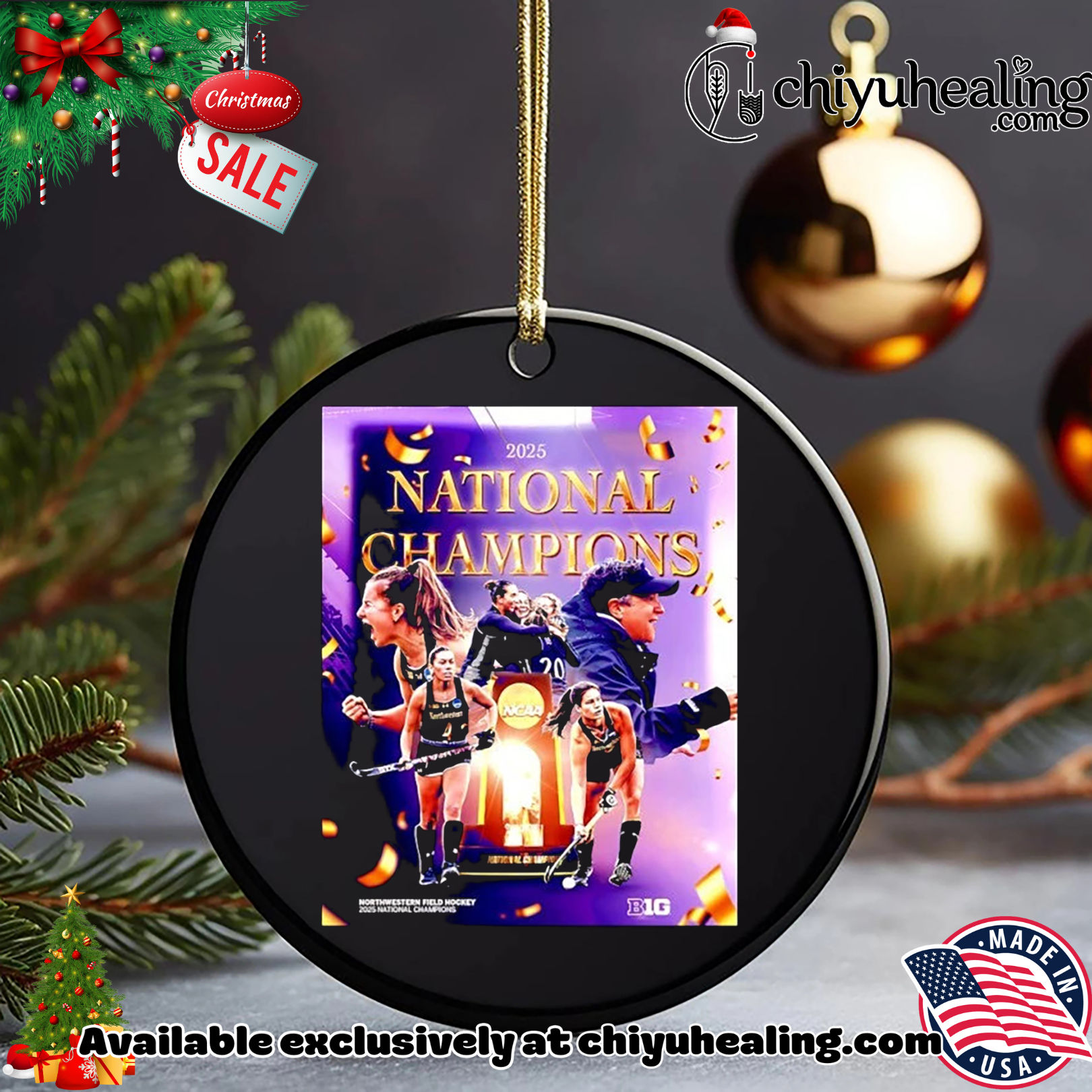 Northwestern Field hockey 2025 National Champions poster Christmas ornament, Hoodie, Sweatshirt, Poster Canvas, Mug, Ornaments Northwestern Field hockey 2025 National Champions poster Christmas ornament, Hoodie, Sweatshirt, Poster Canvas, Mug, Ornaments