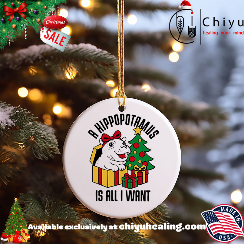 Original A hippopotamus is all I want Christmas shirt, Hoodie, Sweatshirt, Poster Canvas, Mug, Ornaments 5 Original A hippopotamus is all I want Christmas shirt, Hoodie, Sweatshirt, Poster Canvas, Mug, Ornaments