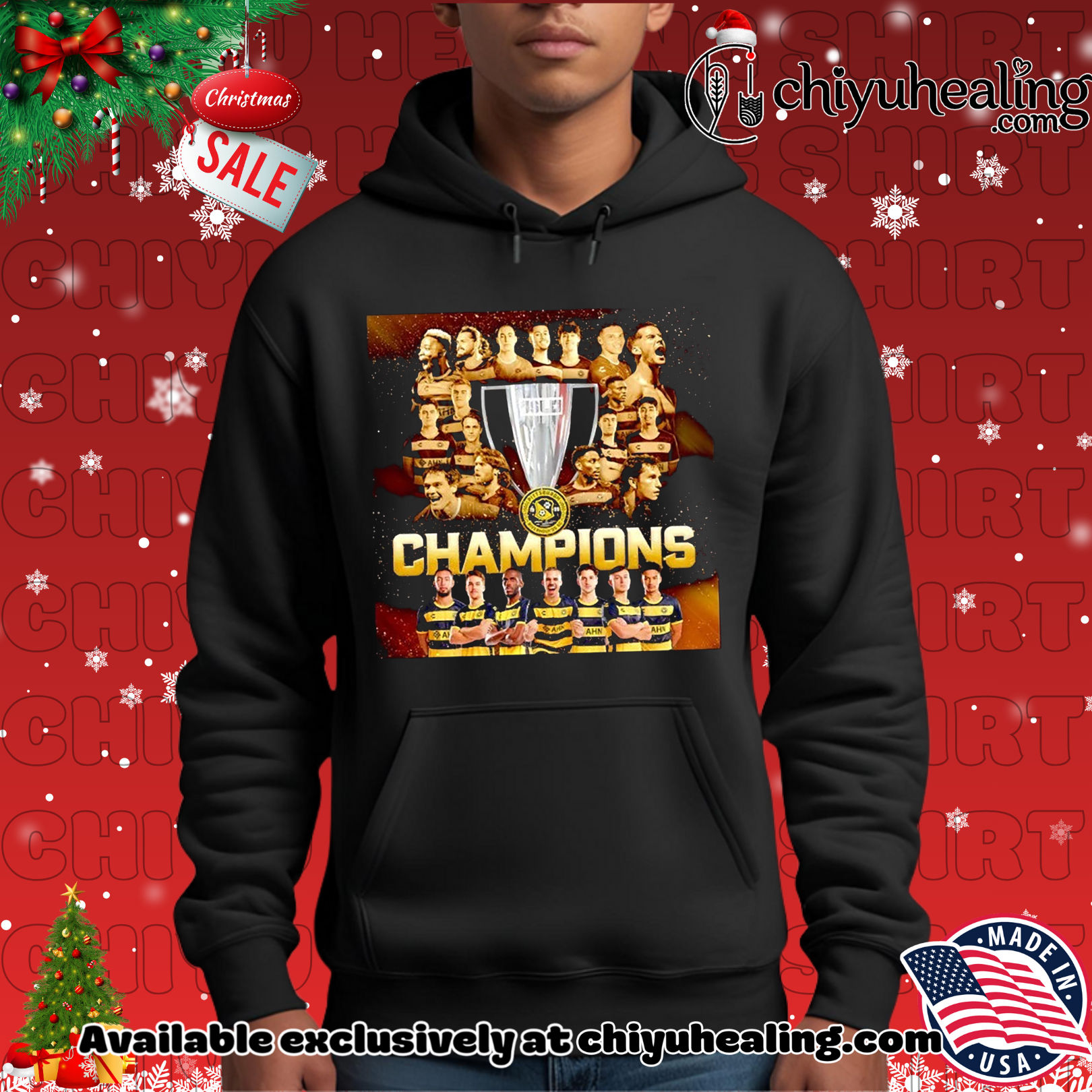 Pittsburgh Riverhounds SC 2025 USL Champions we did it poster Christmas ornament, Hoodie, Sweatshirt, Poster Canvas, Mug, Ornaments