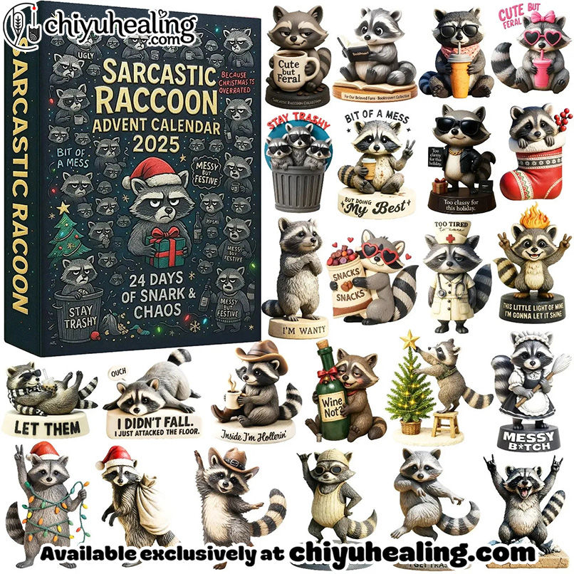 Sarcastic Raccoon Advent Calendar 2025, Christmas Countdown Advent Calendar Gift Box with 24 Acrylic Ornaments