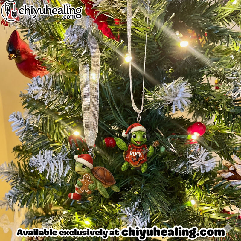 Sea Turtle Advent Calendar, Christmas Countdown Advent Calendar Gift Box with 24 Acrylic Ornaments