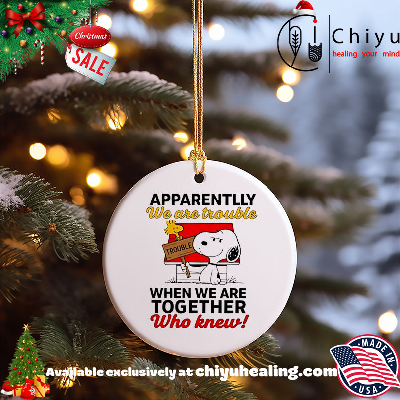 Snoopy and Woodstock apparently we are trouble when we are together who knew shirt, Hoodie, Sweatshirt, Poster Canvas, Mug, Ornaments 5 Snoopy and Woodstock apparently we are trouble when we are together who knew shirt, Hoodie, Sweatshirt, Poster Canvas, Mug, Ornaments