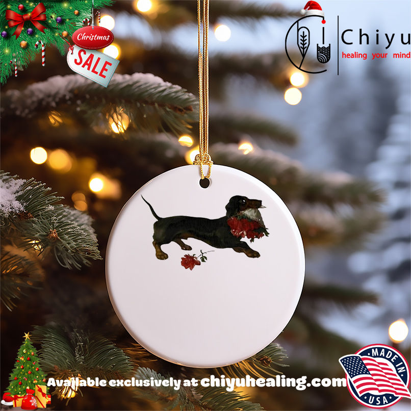 Top Dachshund running with a bouquet of red flowers in her mouth shirt, Hoodie, Sweatshirt, Poster Canvas, Mug, Ornaments 5 Top Dachshund running with a bouquet of red flowers in her mouth shirt, Hoodie, Sweatshirt, Poster Canvas, Mug, Ornaments