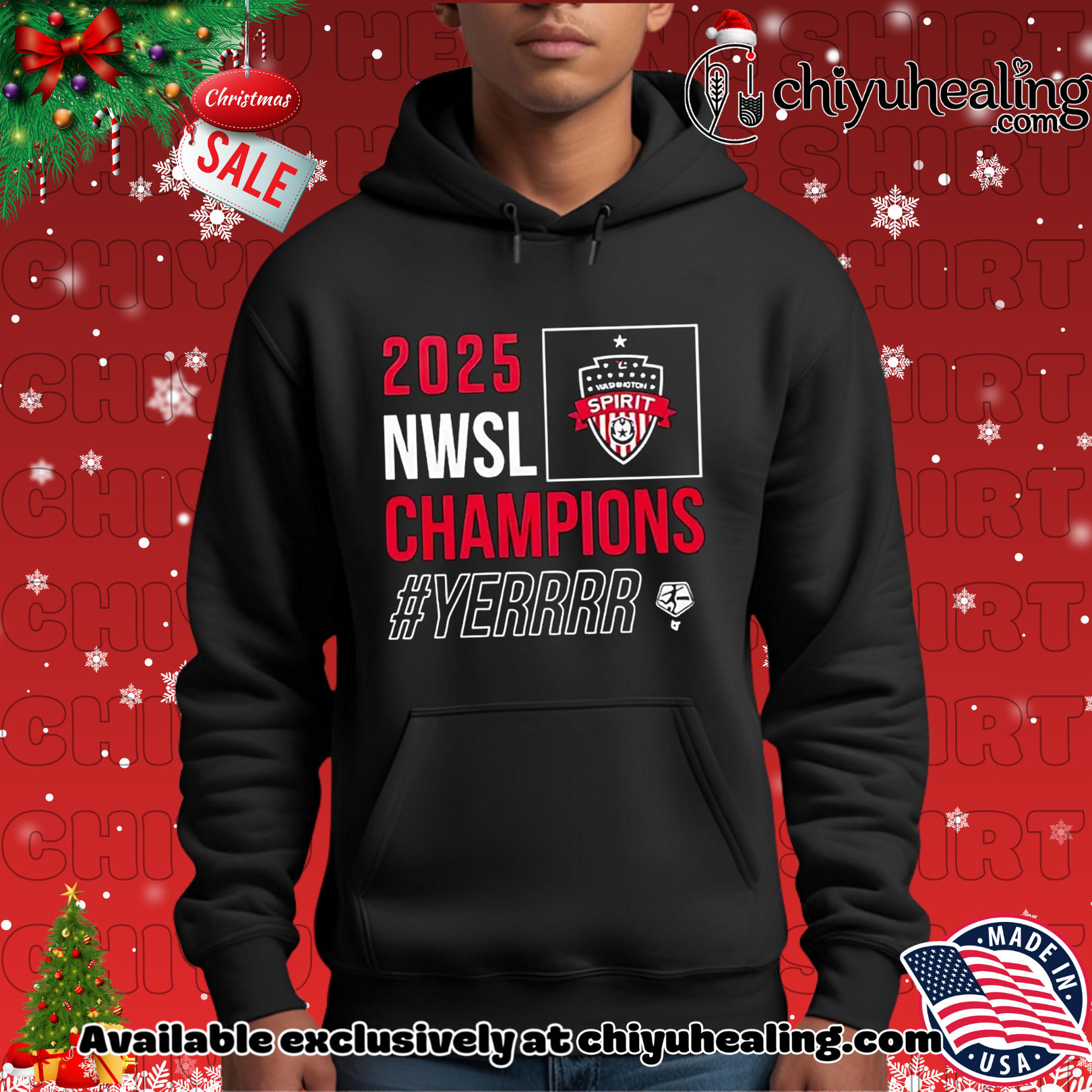 Washington Spirit 2025 NWSL Champions yerrr logo Christmas ornament, Hoodie, Sweatshirt, Poster Canvas, Mug, Ornaments