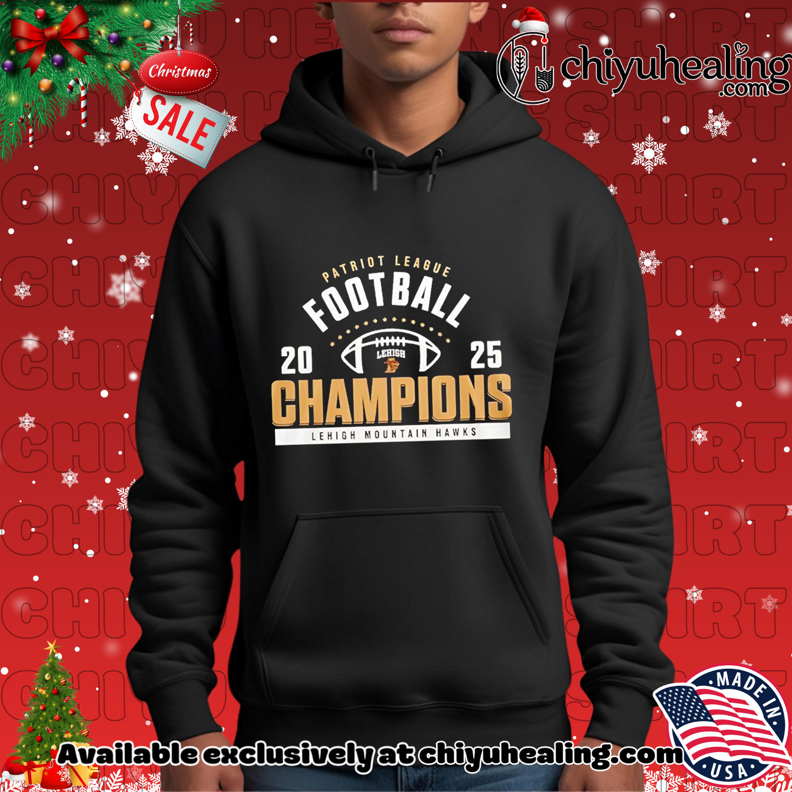 Yale Mountain Hawks 2025 Ivy League Champions Christmas ornament, Hoodie, Sweatshirt, Poster Canvas, Mug, Ornaments