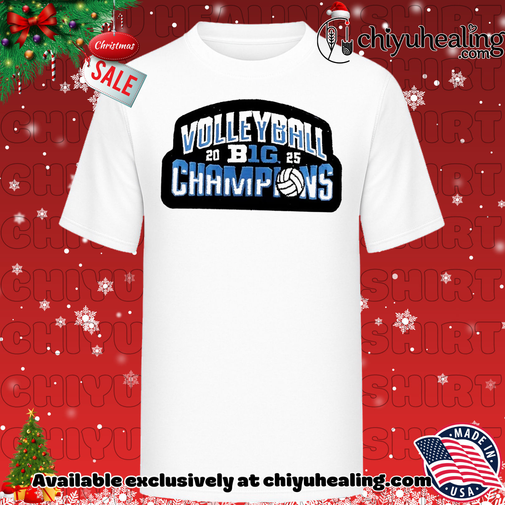 Nebraska Cornhuskers  2025 Big Ten Women's Volleyball Champs shirt, Hoodie, Sweatshirt, Poster Canvas, Mug, Ornaments