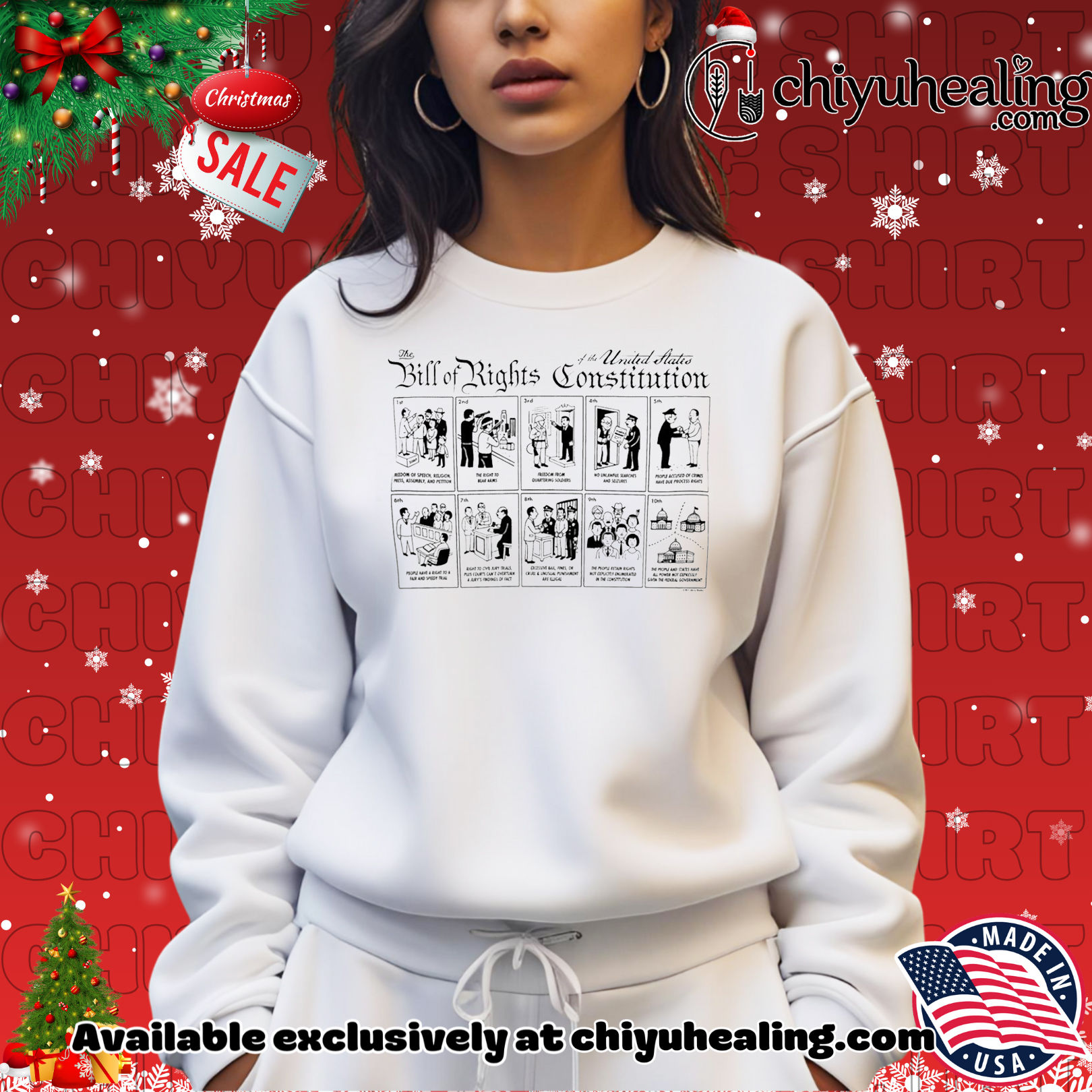 The Illustrated Bill of Rights Ringer '25 shirt, Hoodie, Sweatshirt, Poster Canvas, Mug, Ornaments 14 the illustrated bill of rights ringer 25 shirt hoodie sweatshirt