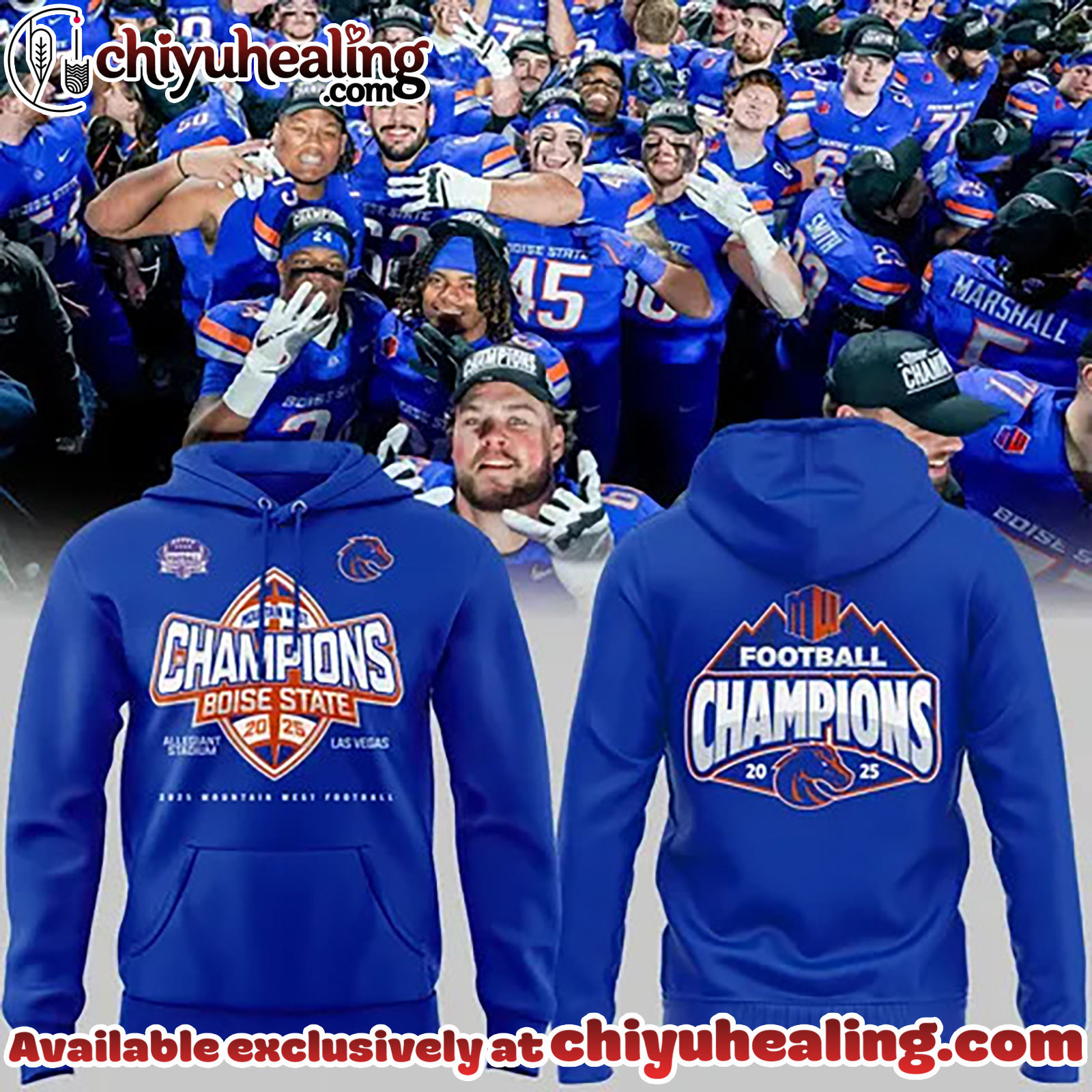 Boise State Broncos Championship Mountain West Conference Hoodie, Sweatshirt, Shirt - Ver 2