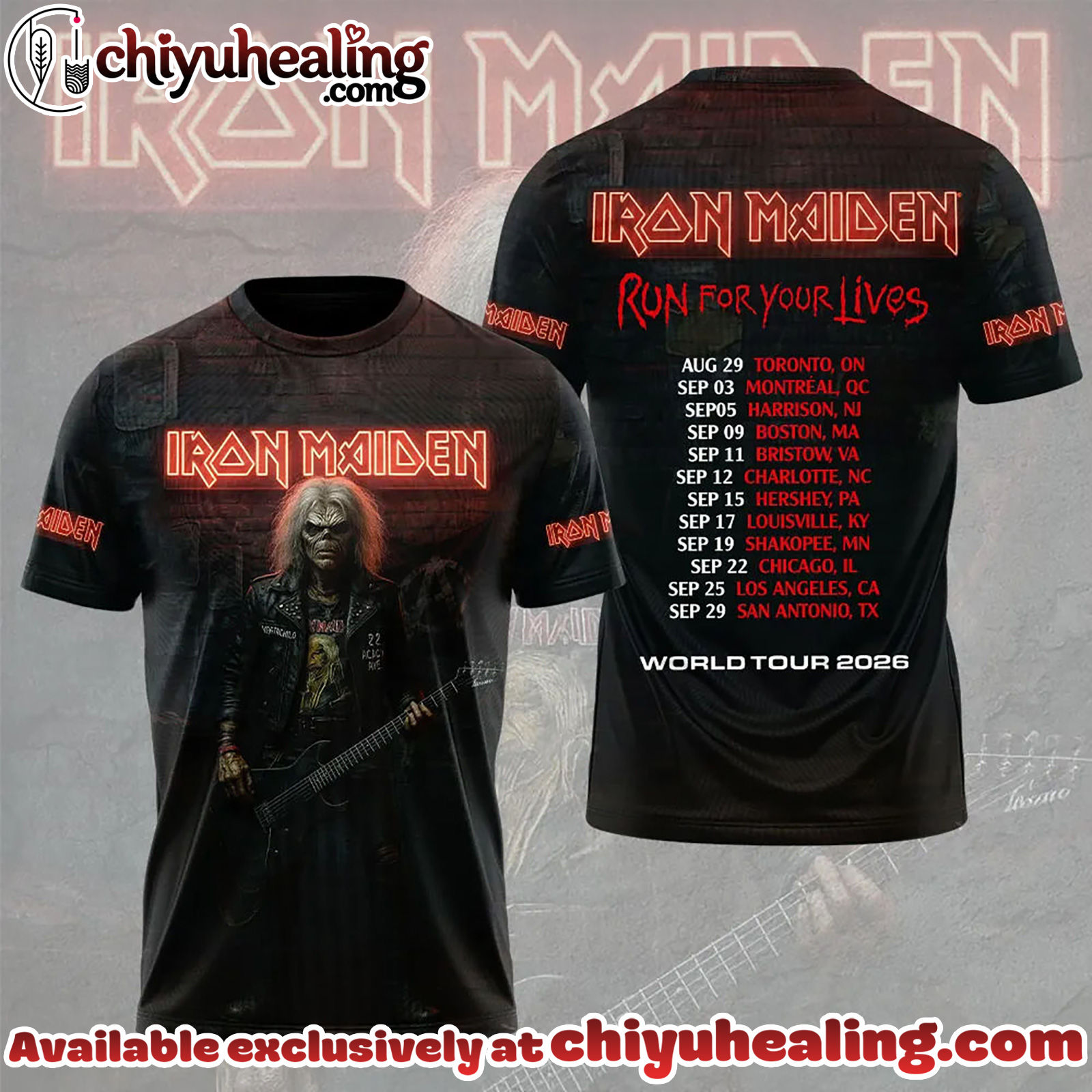 Iron Maiden 3D Apparel Hoodie, Tshirt, Sweatshirt - Ver 5