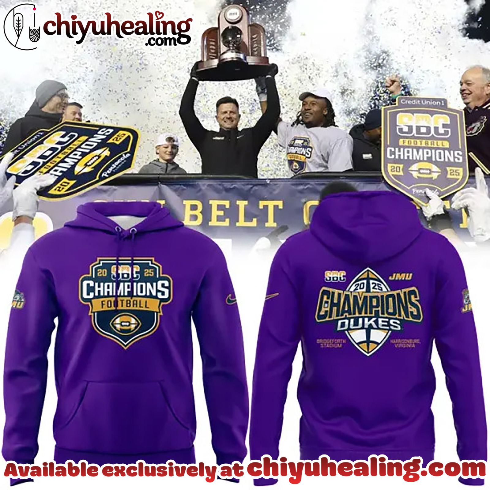 James Madison Dukes Football Sun Belt Champions Hoodie, Sweatshirt, Shirt - Ver 2