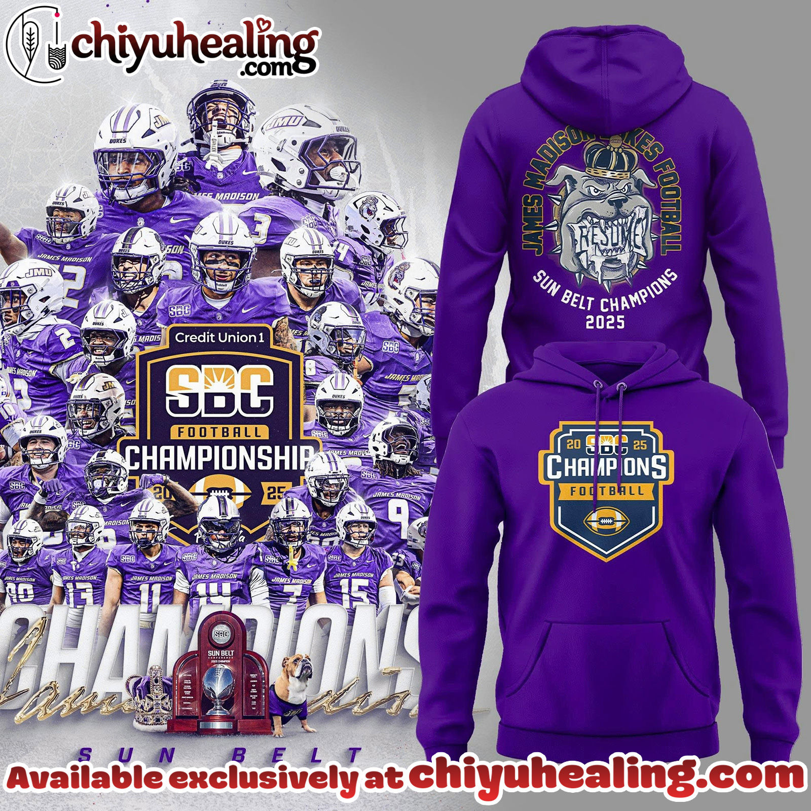 James Madison Dukes Football Sun Belt Champions Hoodie, Sweatshirt, Shirt