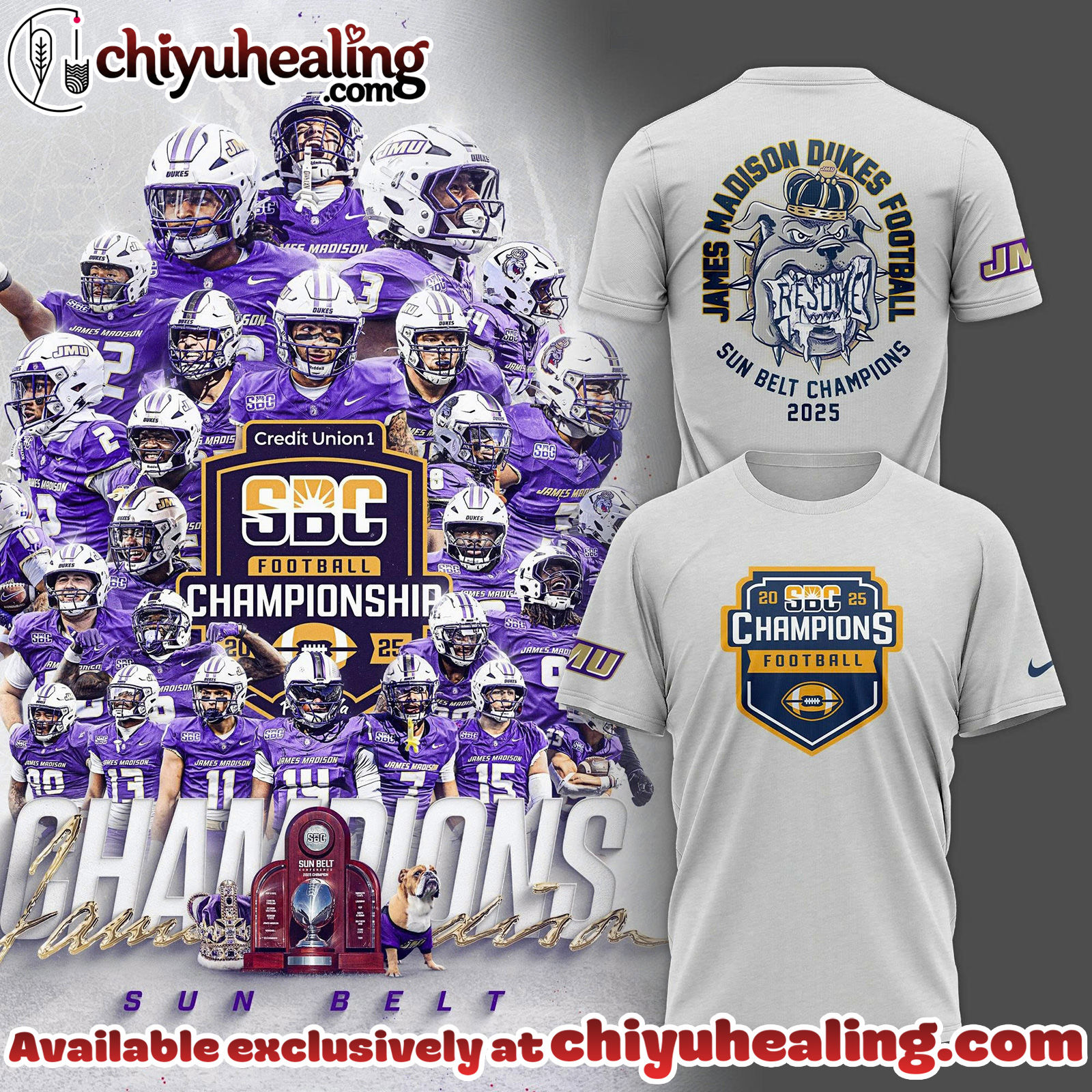 James Madison Dukes Football Sun Belt Champions Tshirt, Hoodie, Sweatshirt