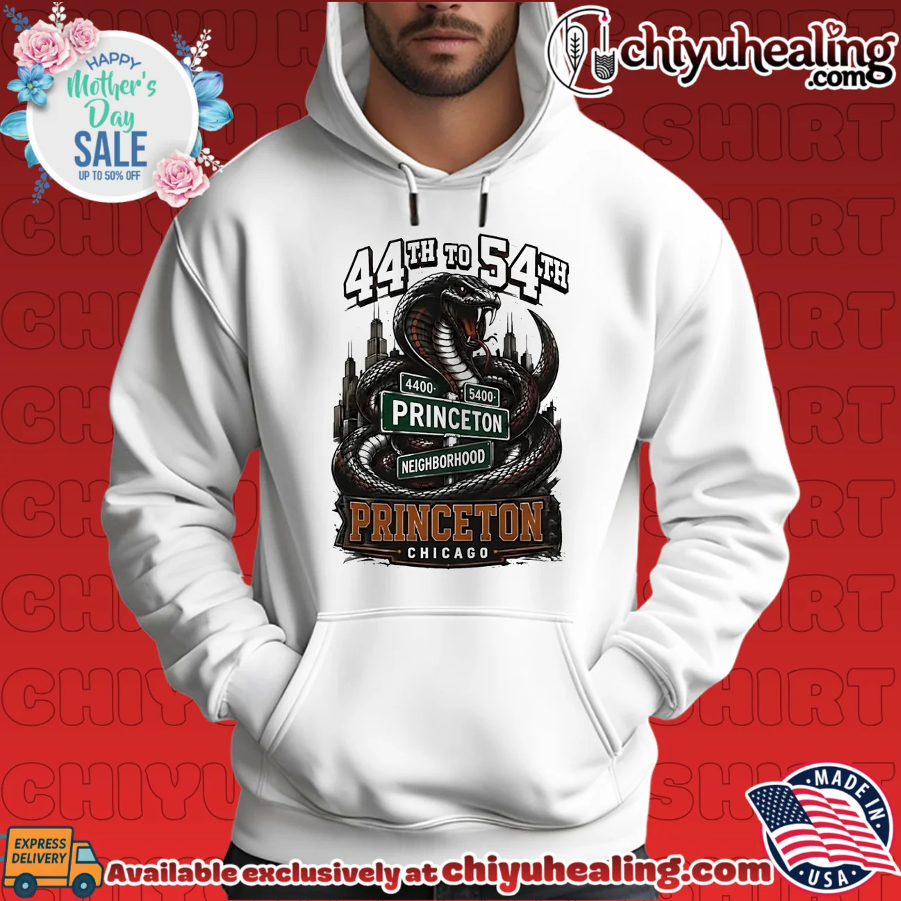44th to 54th Princeton Neighborhood snake illustration shirt & hoodie 44th to 54th Princeton Neighborhood snake illustration shirt & hoodie