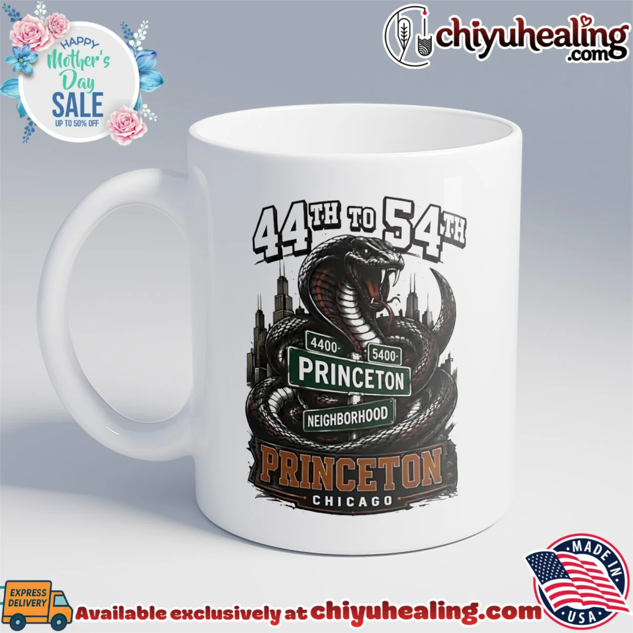 44th to 54th Princeton Neighborhood snake illustration shirt & hoodie 44th to 54th Princeton Neighborhood snake illustration shirt & hoodie