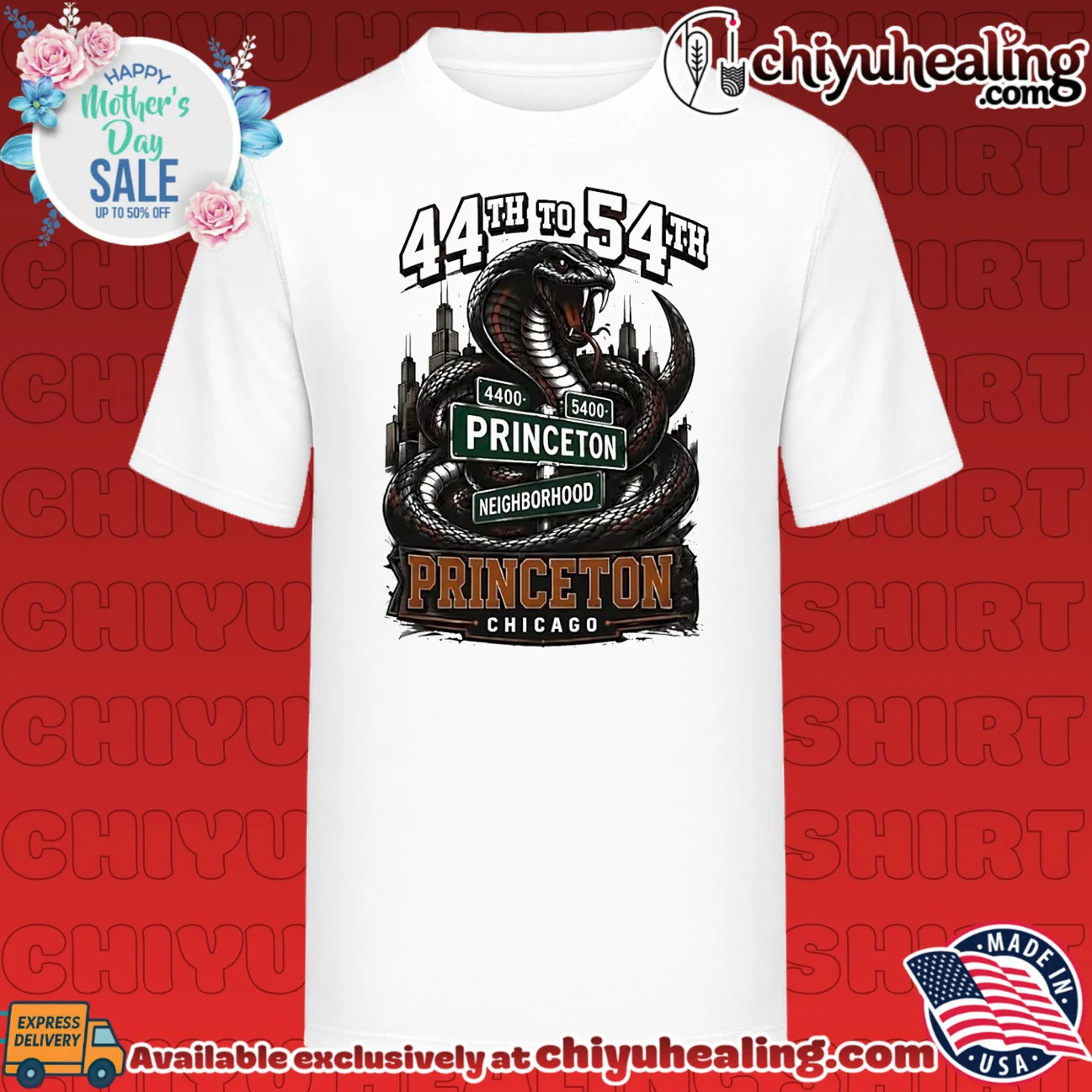 44th to 54th Princeton Neighborhood snake illustration shirt & hoodie