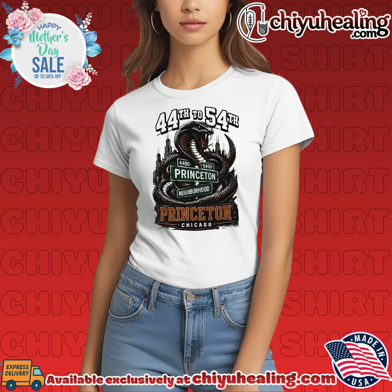 44th to 54th Princeton Neighborhood snake illustration shirt & hoodie 44th to 54th Princeton Neighborhood snake illustration shirt & hoodie