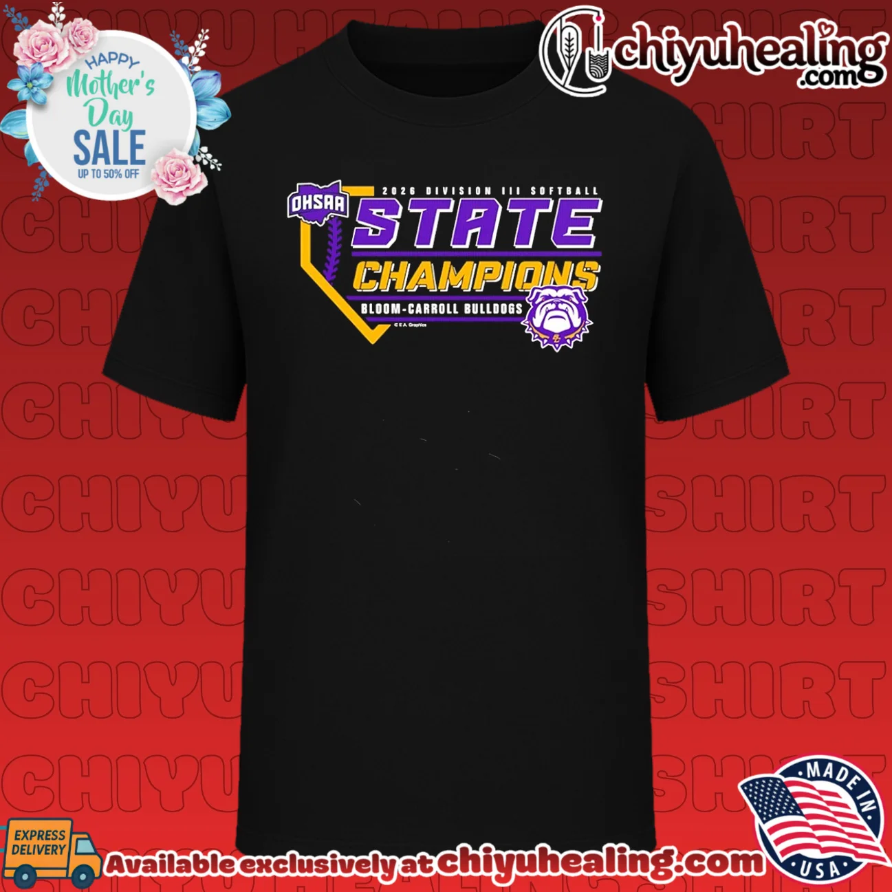 Bloom-Carroll Bulldogs 2026 OHSAA Softball D3 State Champions shirt