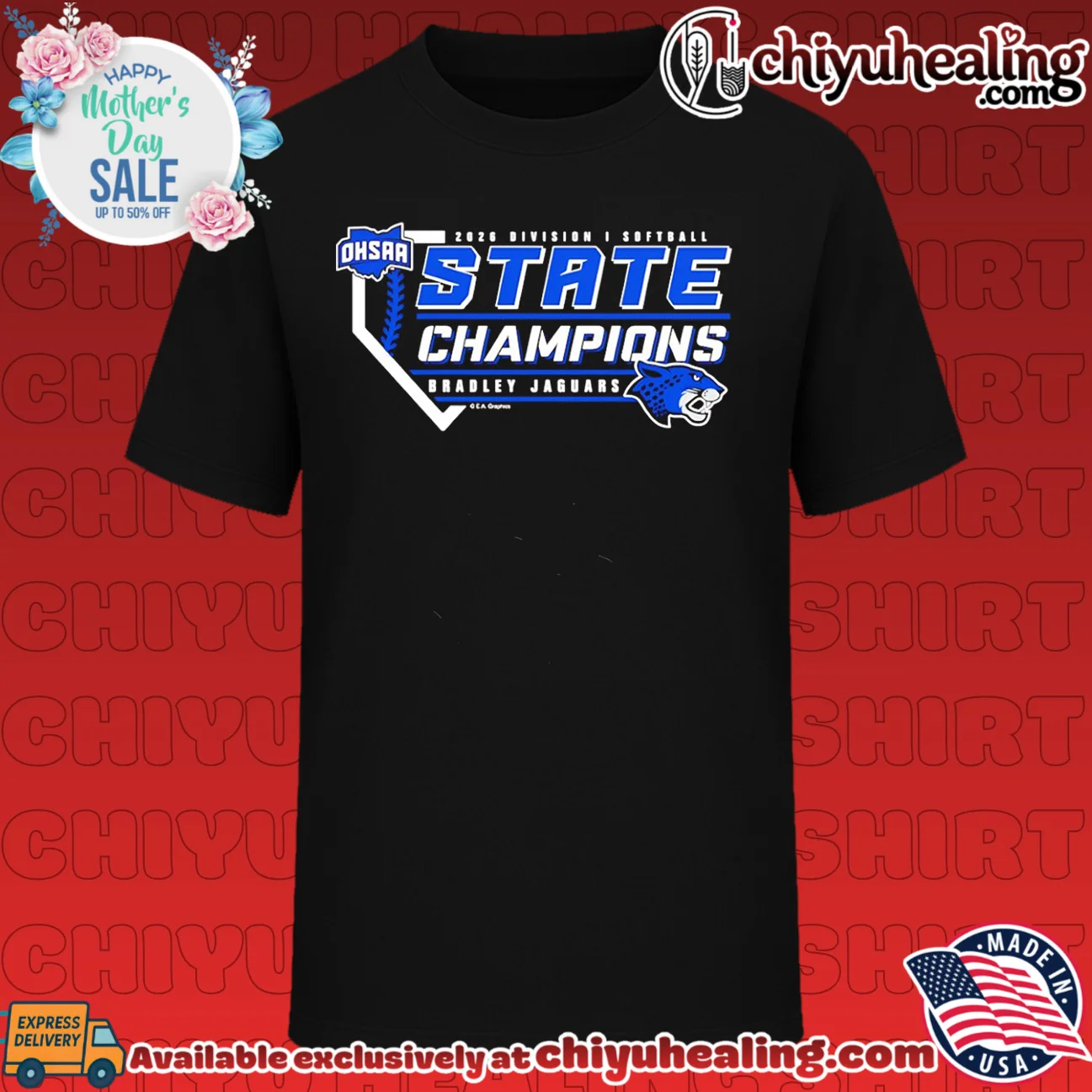 Bradley Jaguars 2026 OHSAA Softball D1 State Champions shirt
