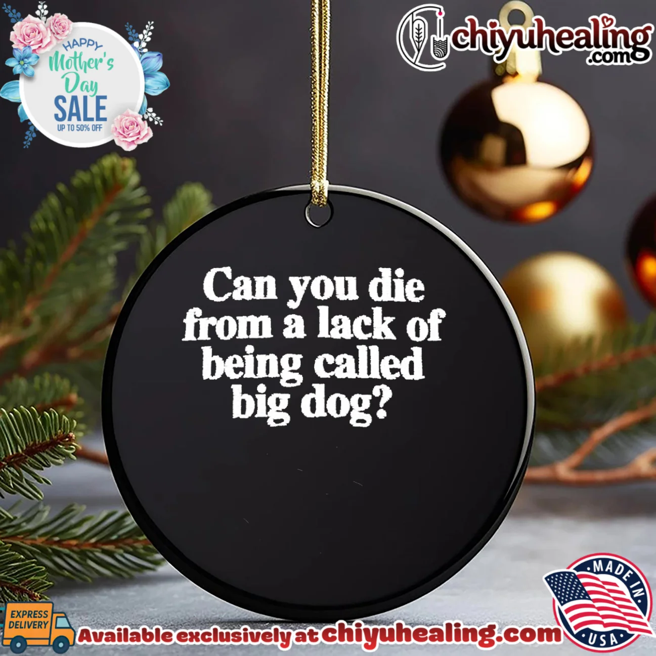 Can you die from a lack of being called big dog iconic shirt & hoodie - The Fan Collection Can you die from a lack of being called big dog