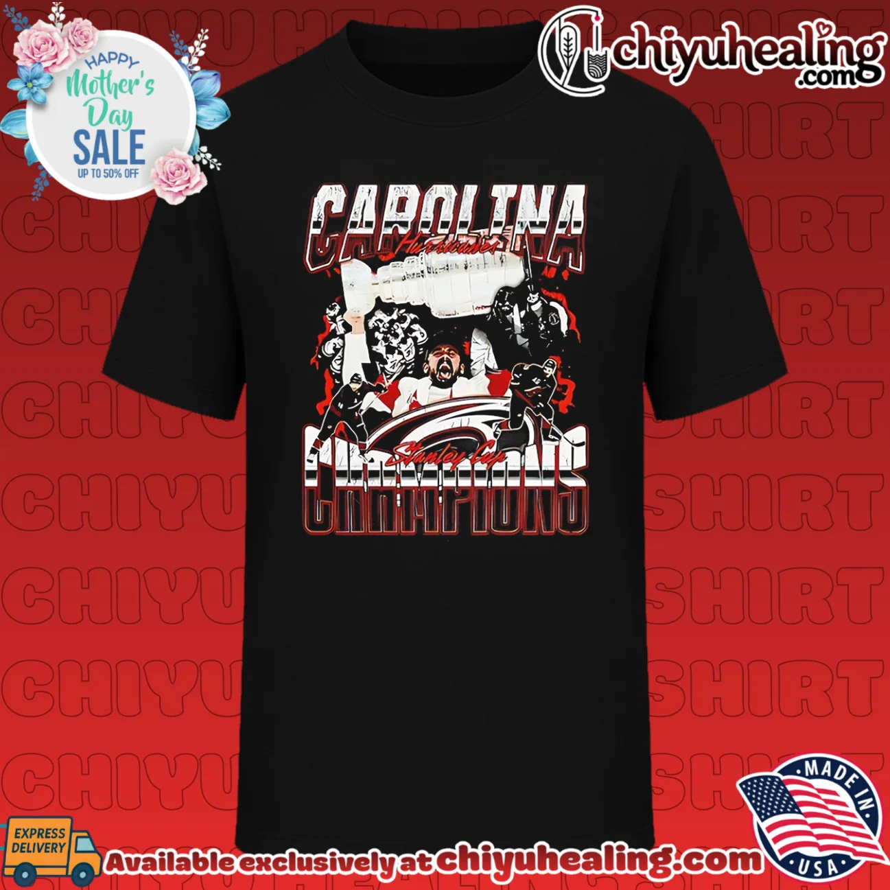 Carolina Hurricanes Stanley Cup Champions retro
