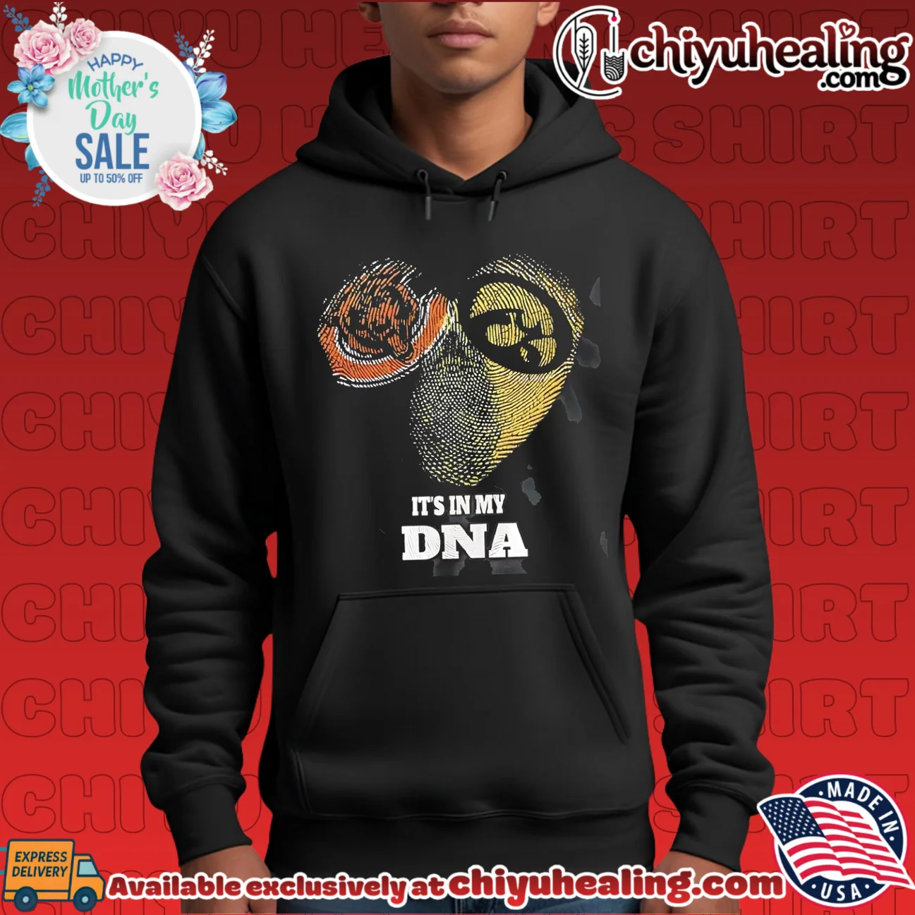 Chicago Bears and Iowa Hawkeyes it Chicago Bears and Iowa Hawkeyes it