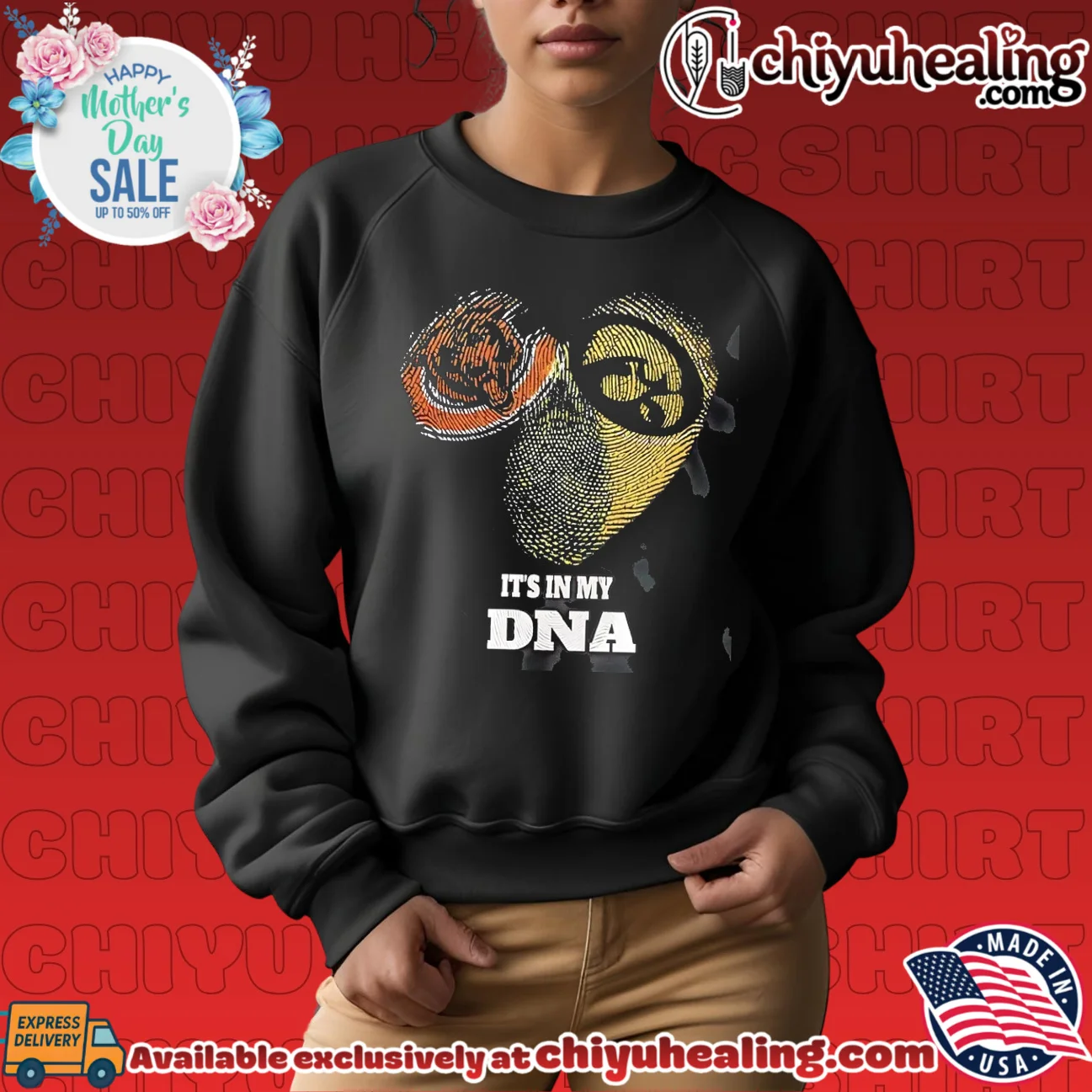 Chicago Bears and Iowa Hawkeyes it's in my DNA vintage shirt & hoodie Chicago Bears and Iowa Hawkeyes it's in my DNA vintage
