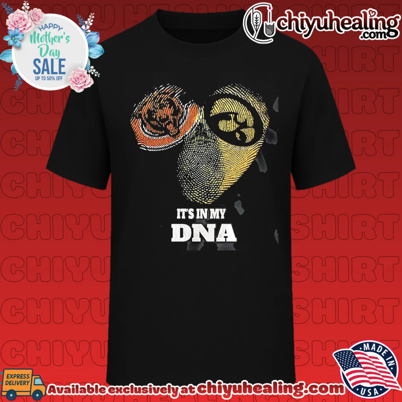 Chicago Bears and Iowa Hawkeyes it's in my DNA vintage