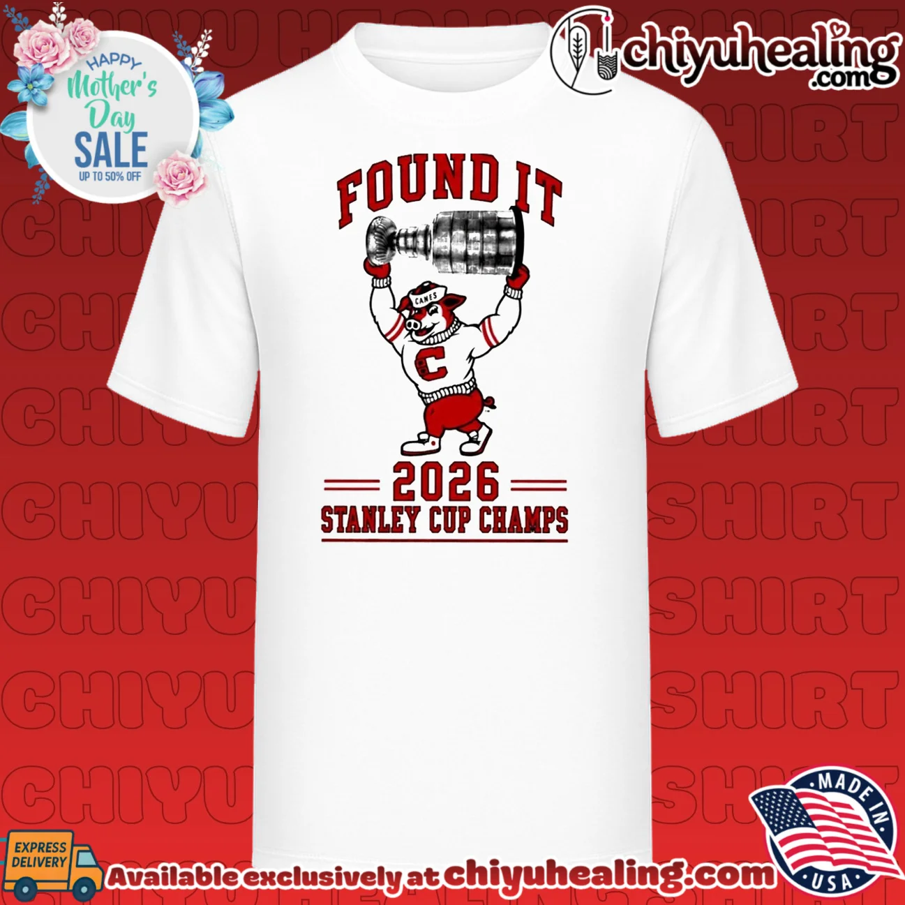Found It 2026 Carolina Hurricanes Stanley Cup Champs