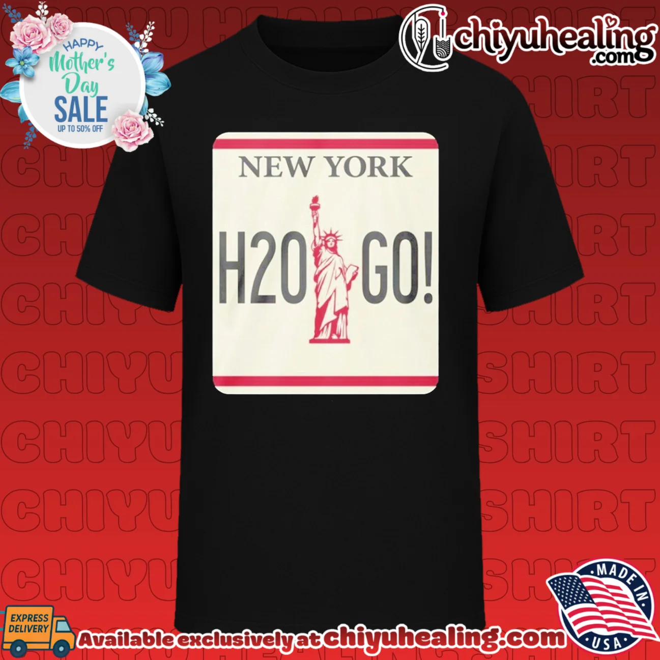 H2O Go License Plate Classic 2026